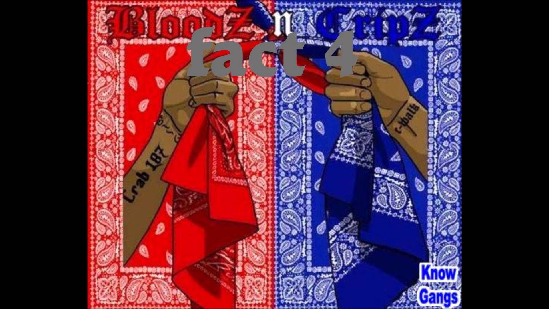 Bloods and Crips
