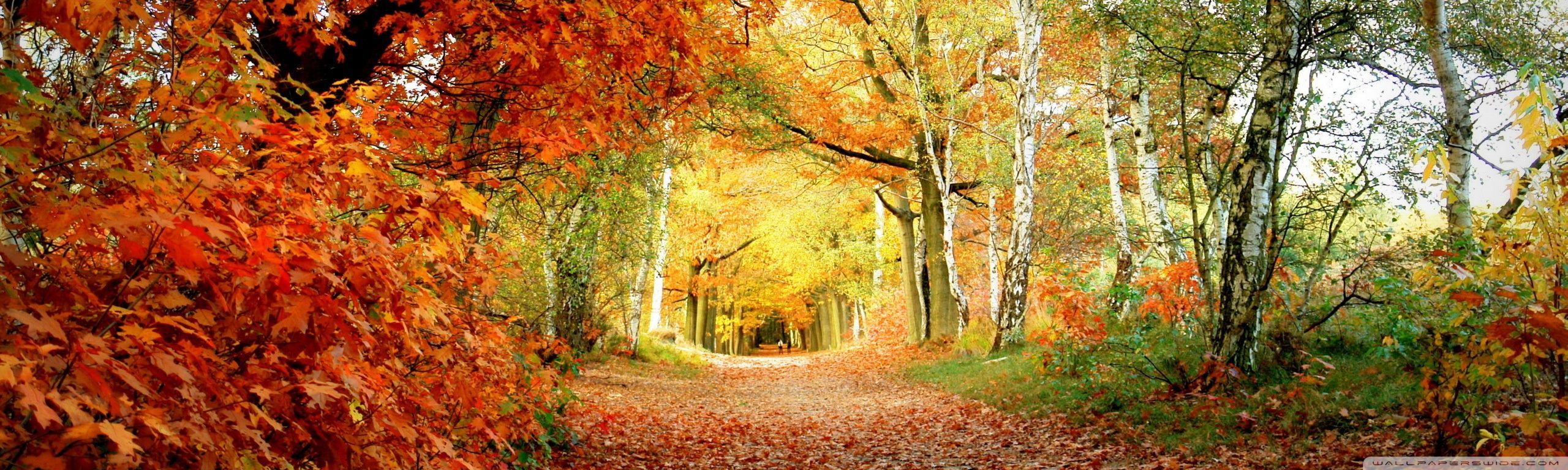 Autumn Dual Monitor Wallpapers - Wallpaper Cave