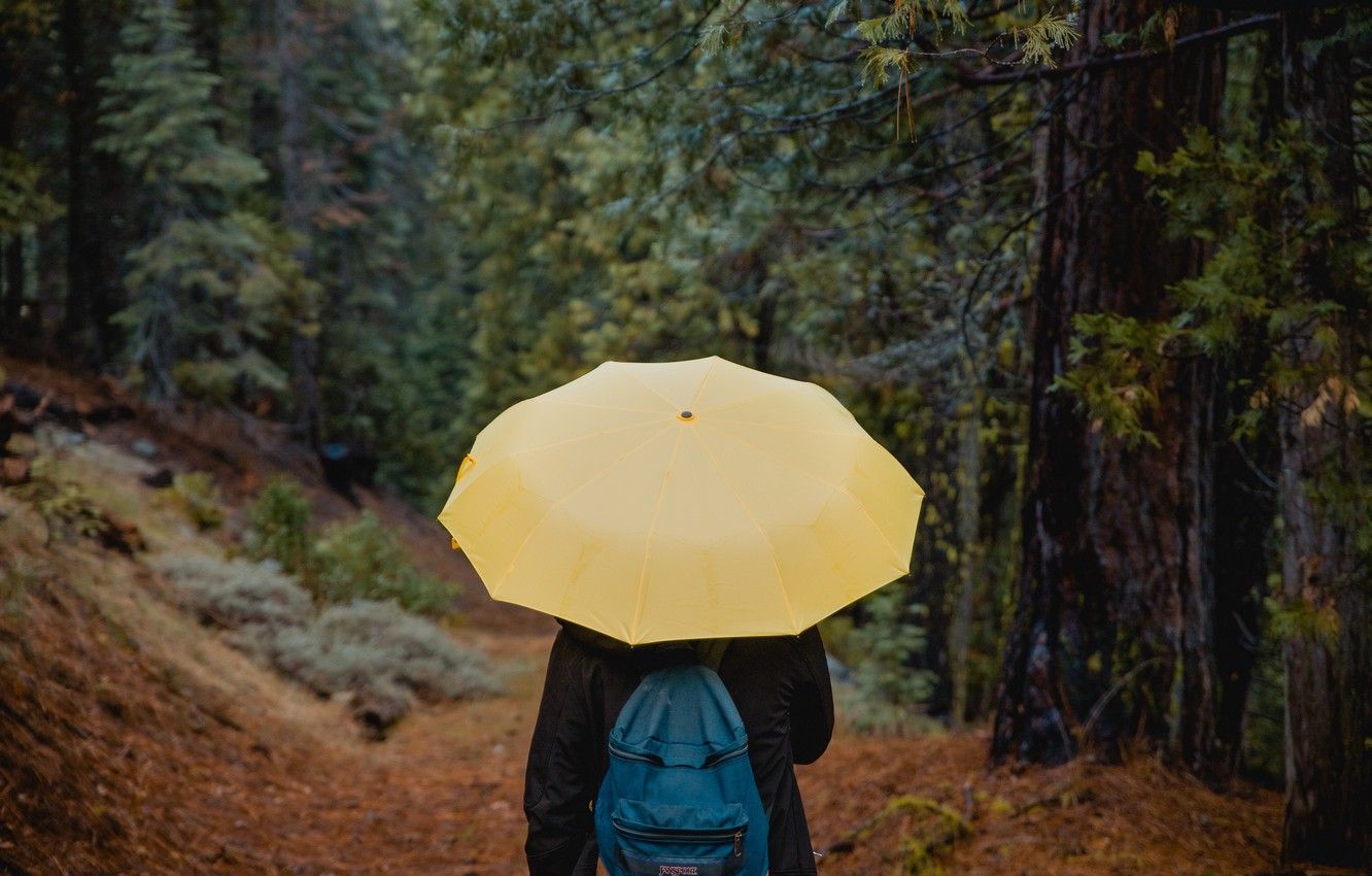 Wallpaper Girl, Forest, Rain, Close Up, Trees, Nature, Woman, Yellow, Umbrella, Autumn, Macro, Alone, Mood, Trail, Branches, Lonely Image For Desktop, Section настроения