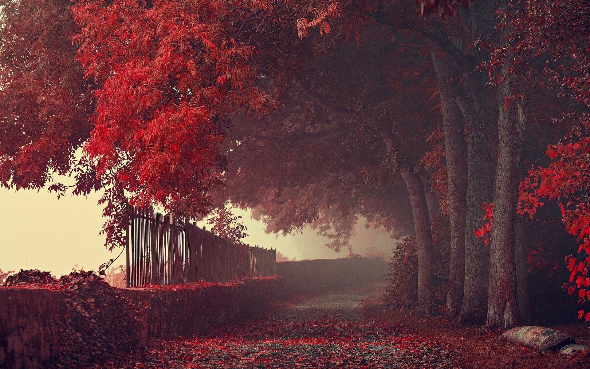 #fall, #road, #fence, #red, #landscape, #leaves, #path, #mist, #trees, #nature, wallpaper. Mocah.org HD Desktop Wallpaper