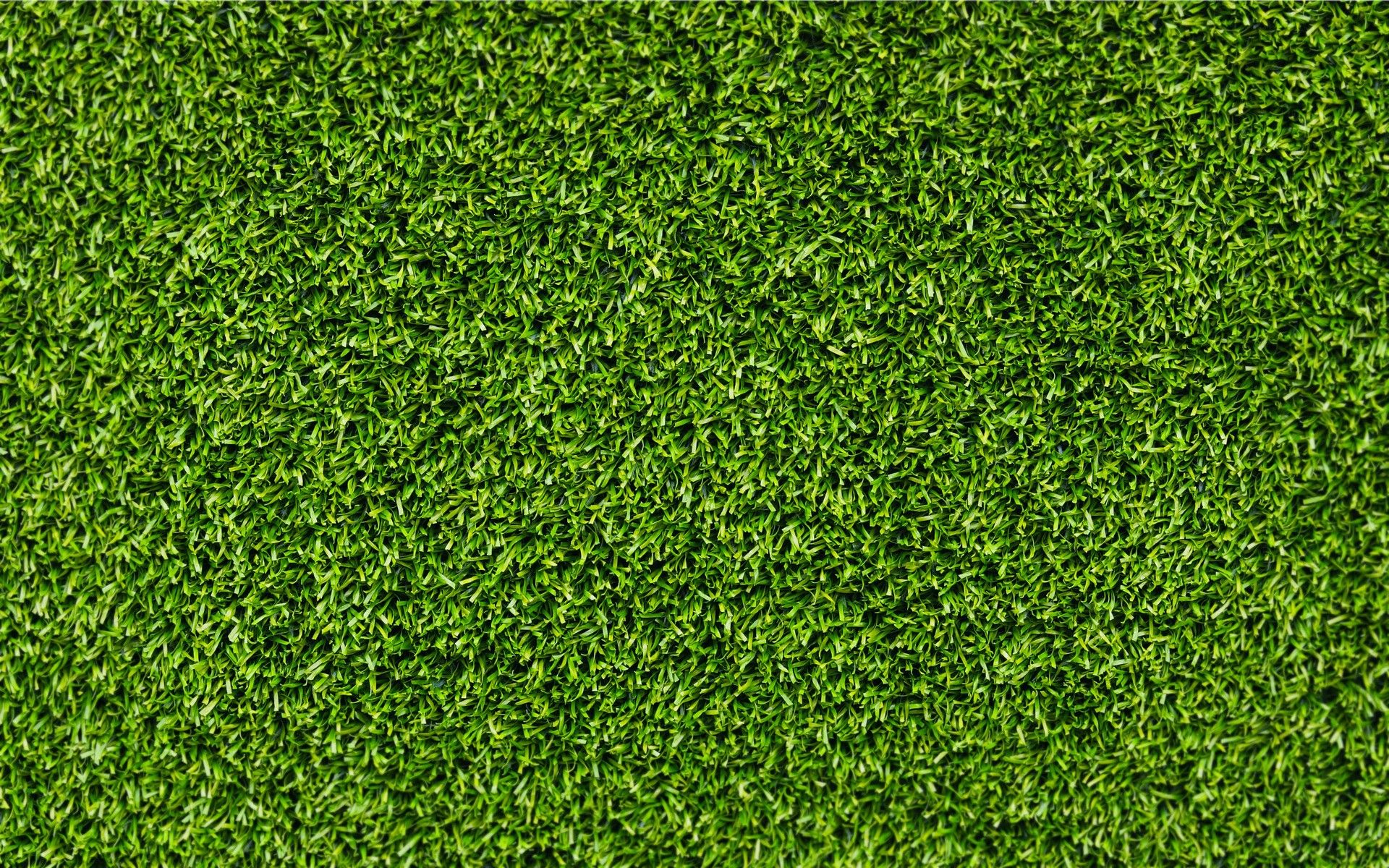 Grass Background Background for Free PowerPoint