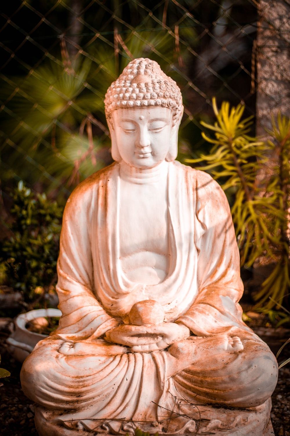 Buddha Picture & Image [HQ]. Download Free Photo