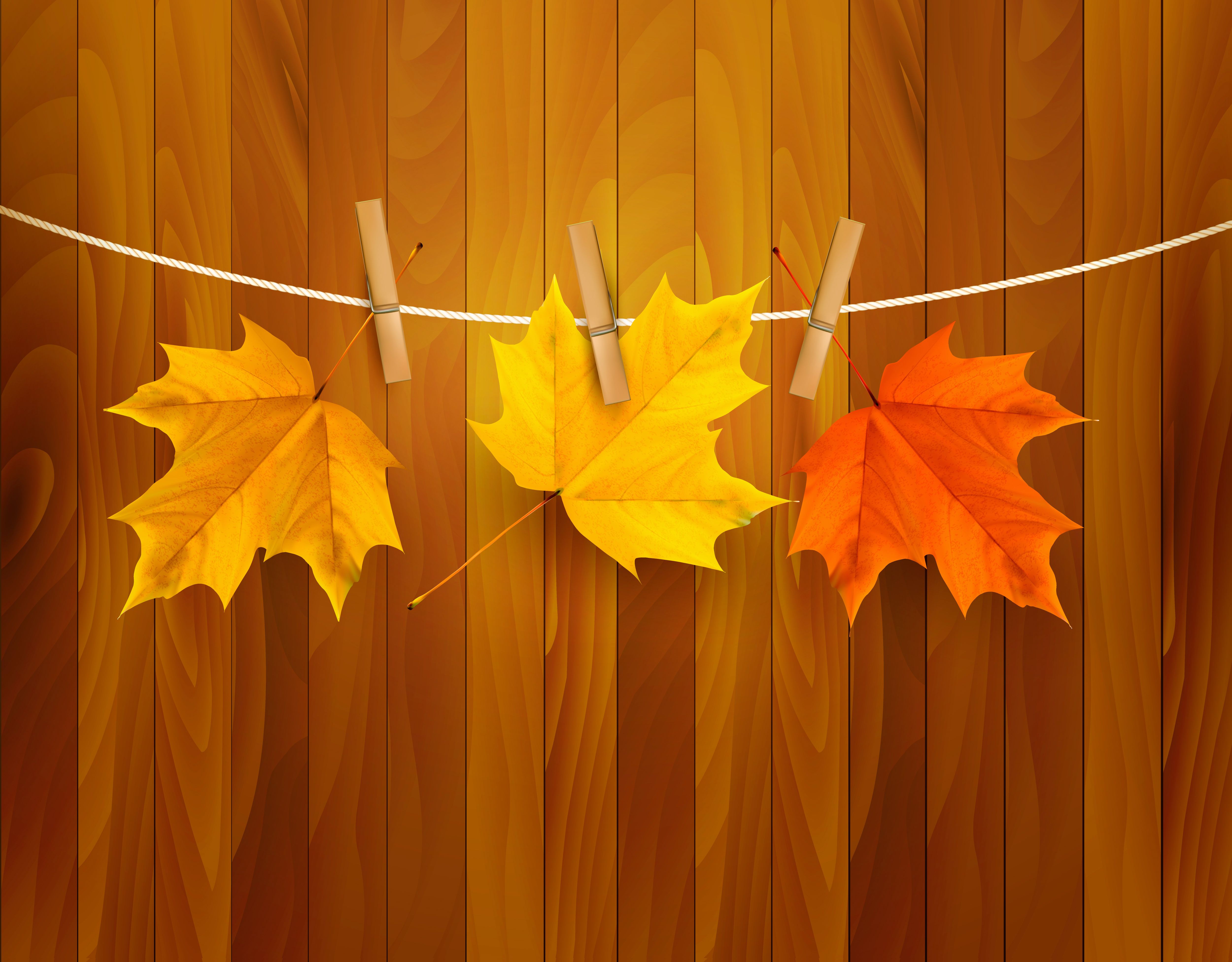 Tree Fall Leaves Background Quality Image And Transparent PNG Free Clipart