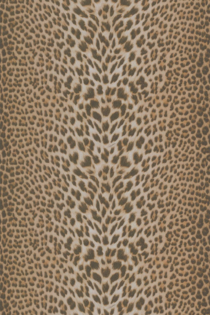 Roberto Cavalli vinyl wallpaper design, featuring a wild leopard print pattern. Brown wallpaper, Animal wallpaper, Kate spade wallpaper
