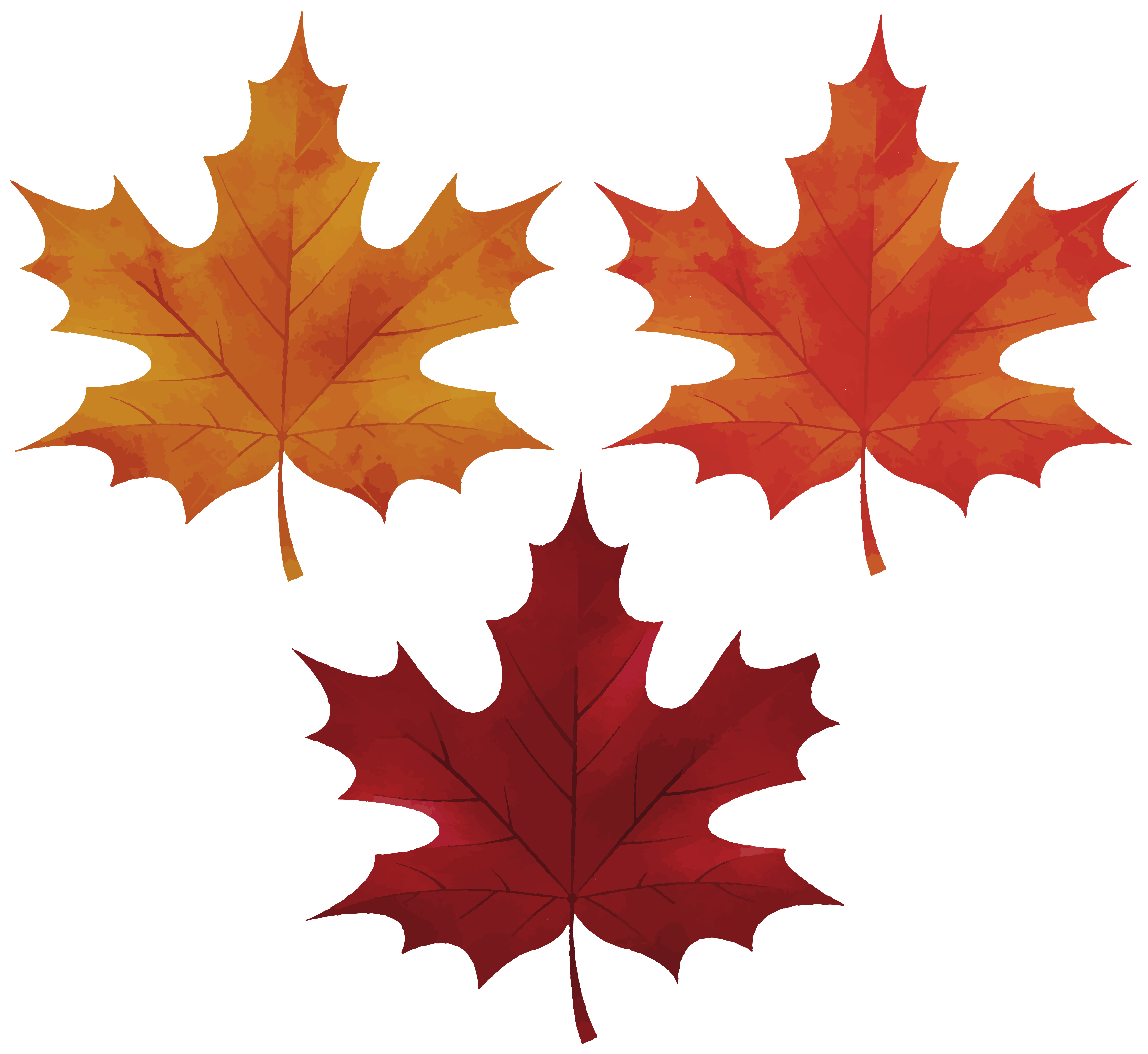 Autumn Leaves Clipart Quality Image And Transparent PNG Free Clipart