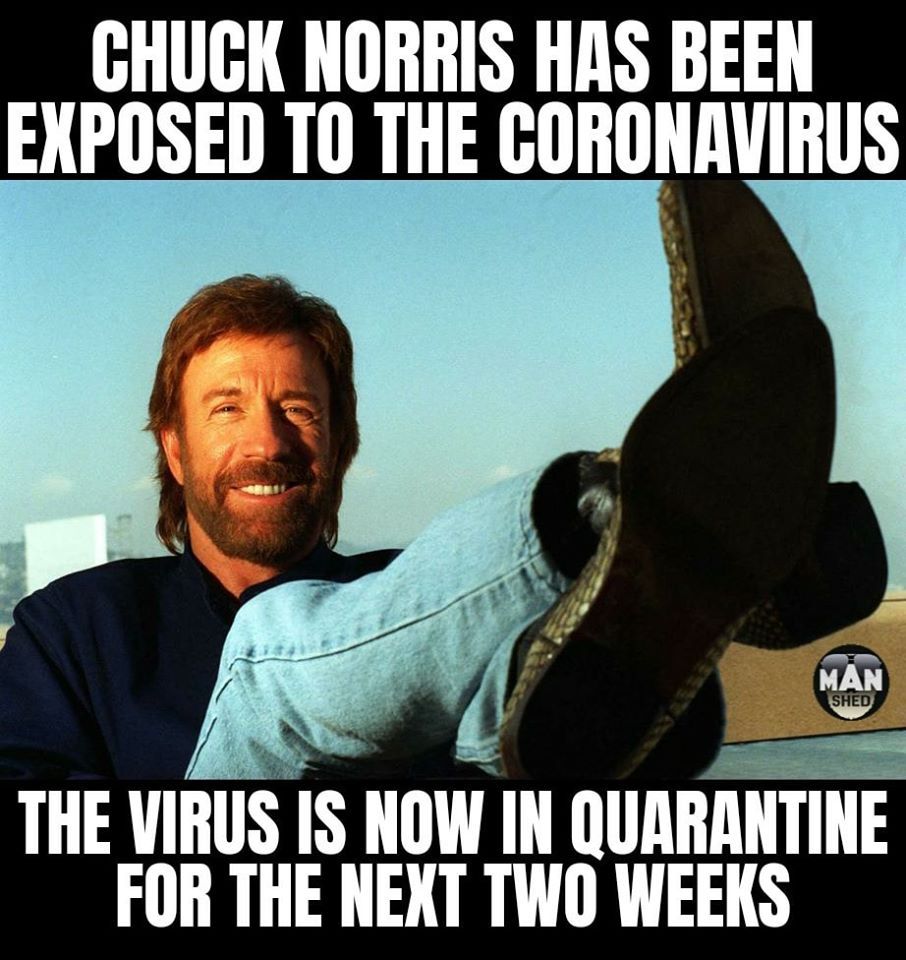 Mid Week In Picture: Social Distancing Edition. Power Line. Chuck Norris Jokes, Chuck Norris Funny, Chuck Norris