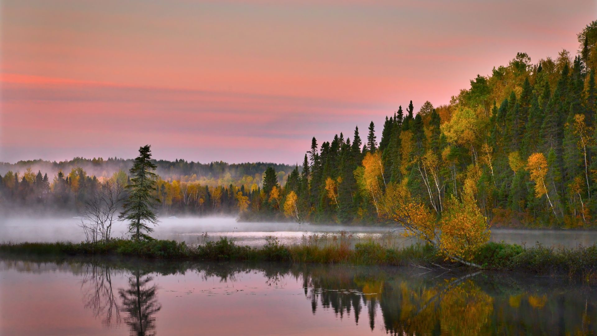 Desktop wallpaper autumn, reflections, landscape, lake, trees, nature, HD image, picture, background, 964416