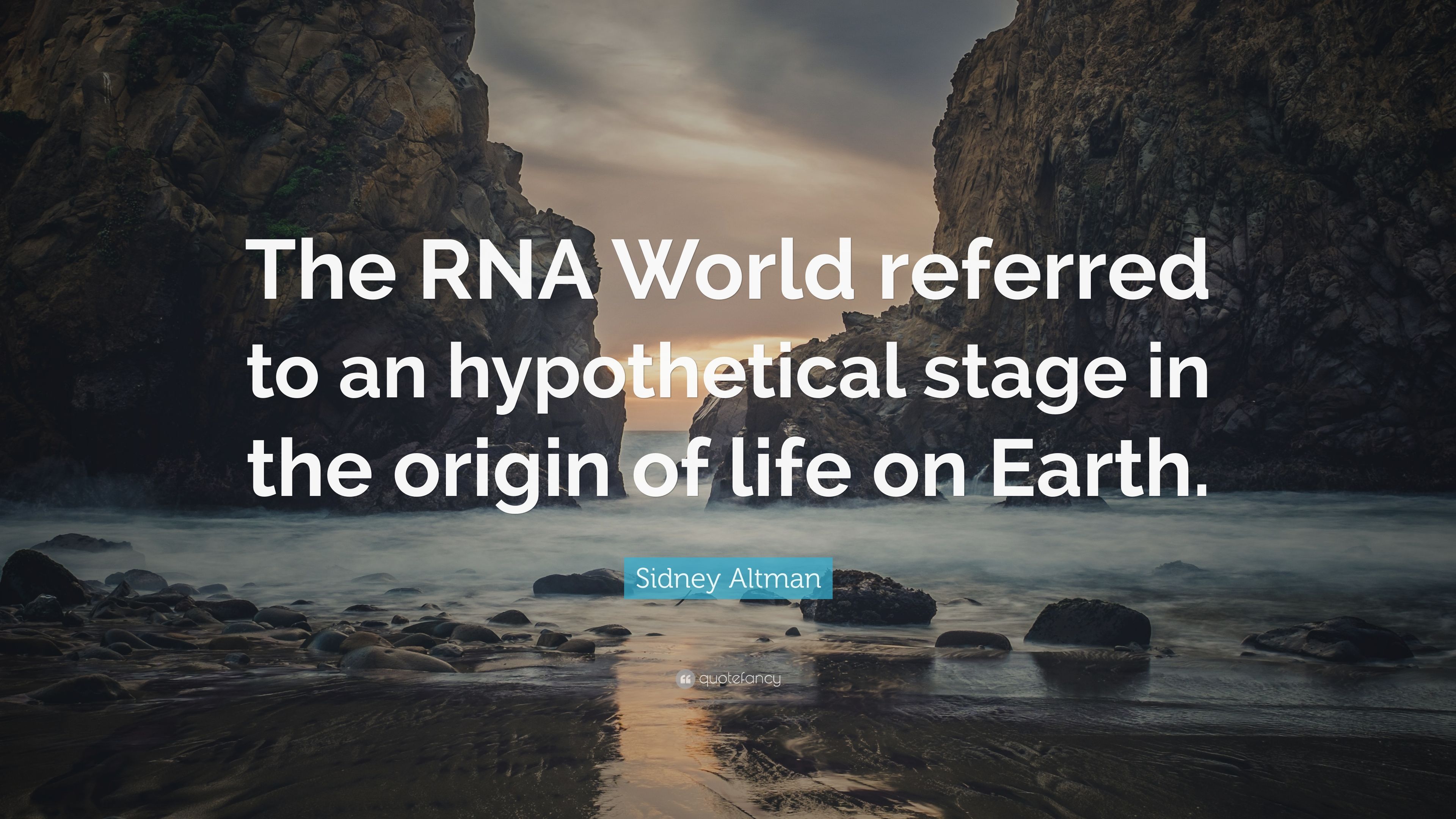 Sidney Altman Quote: “The RNA World referred to an hypothetical stage in the origin of life on Earth.” (7 wallpaper)