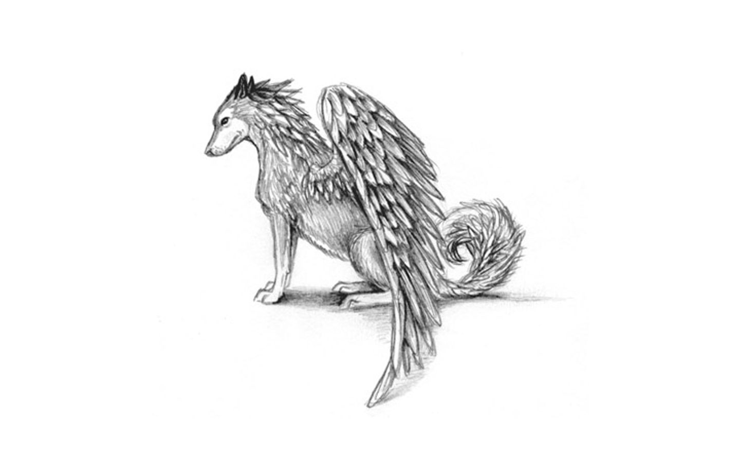 wings drawings wolves 1440x900 wallpaper High Quality Wallpaper, High Definition Wallpaper