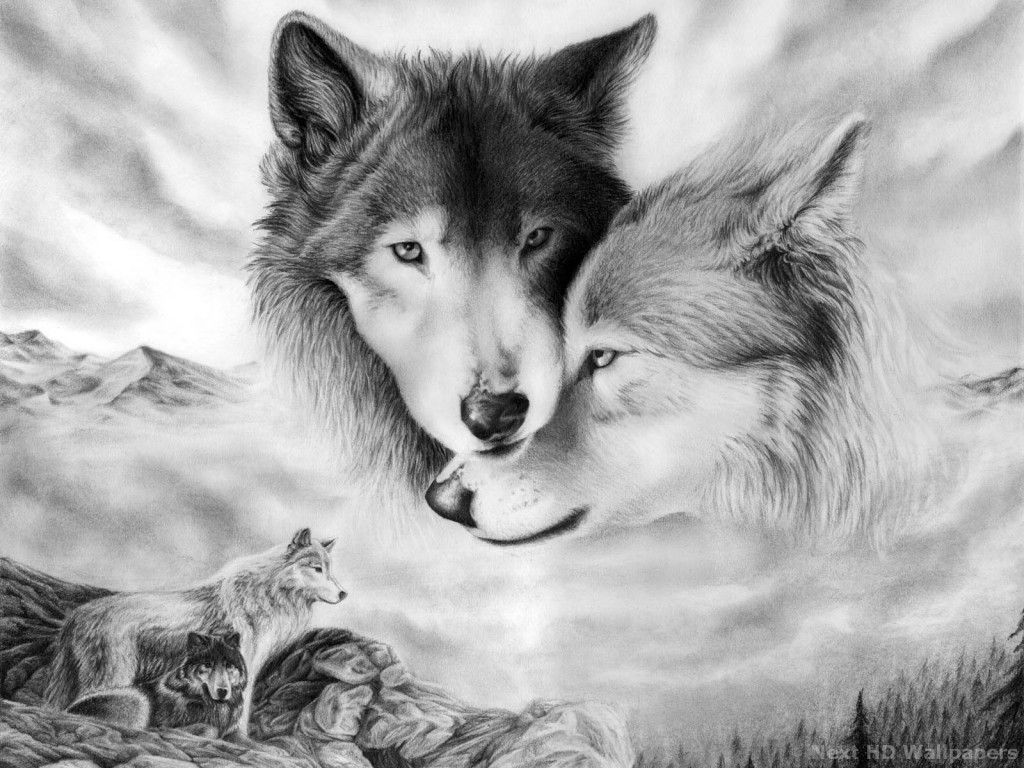 tattoos. Cool wolf drawings, Wolf mates, Wolf love