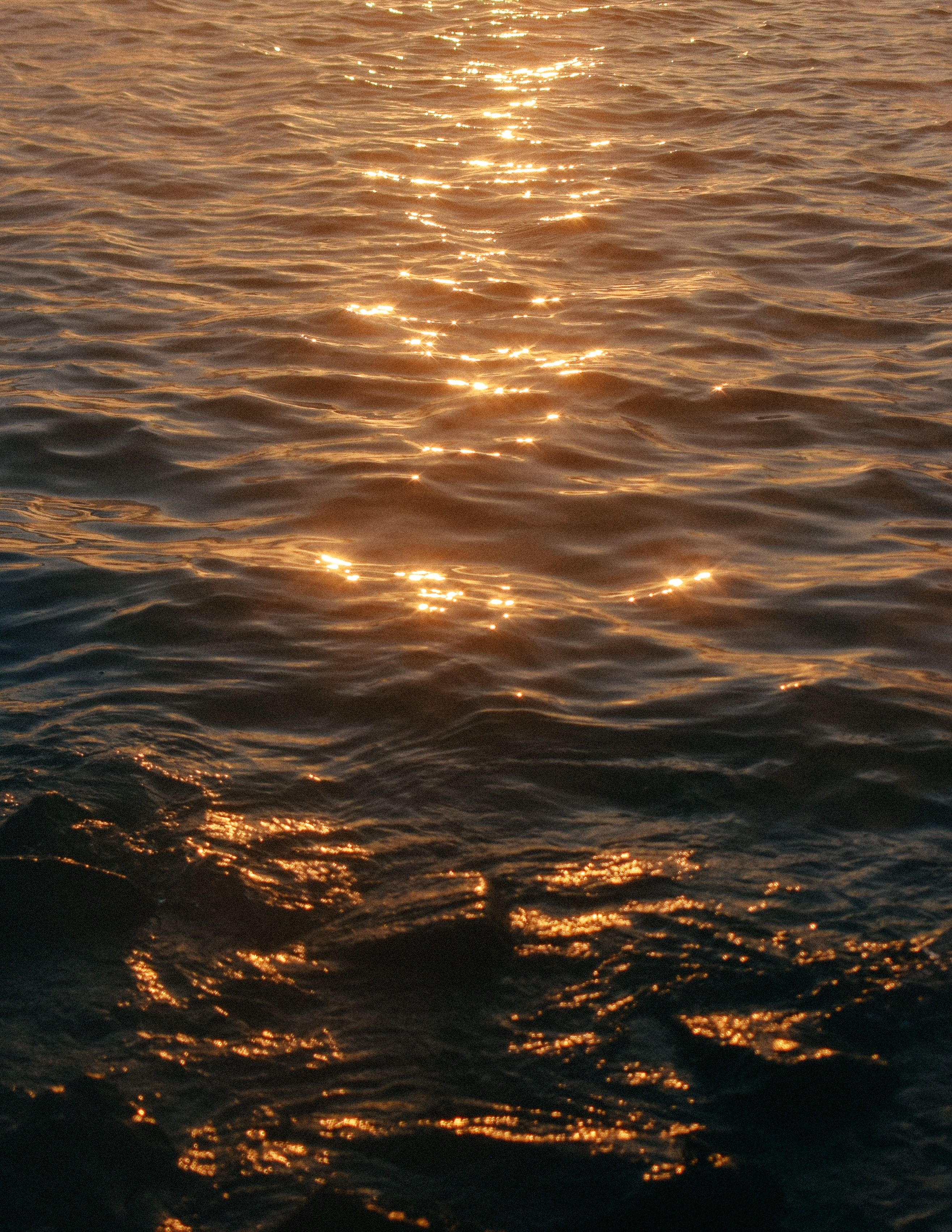 calm sea during golden hour photo