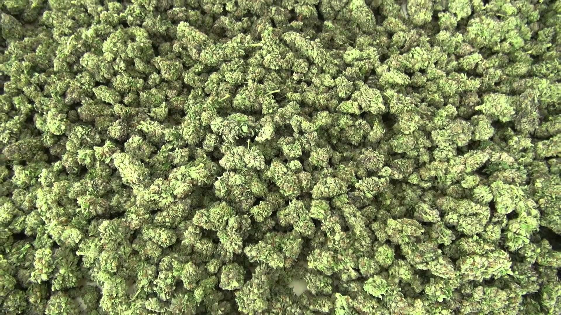 1920x1080 marijuana computer background wallpaper JPG 662 kB. Mocah.org HD Desktop Wallpaper