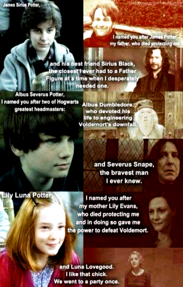 Harry Potter Memes that I told my FATHER about 