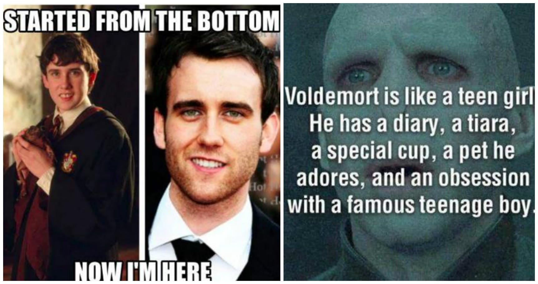 Harry Potter Memes, Funny Harry Potter Image