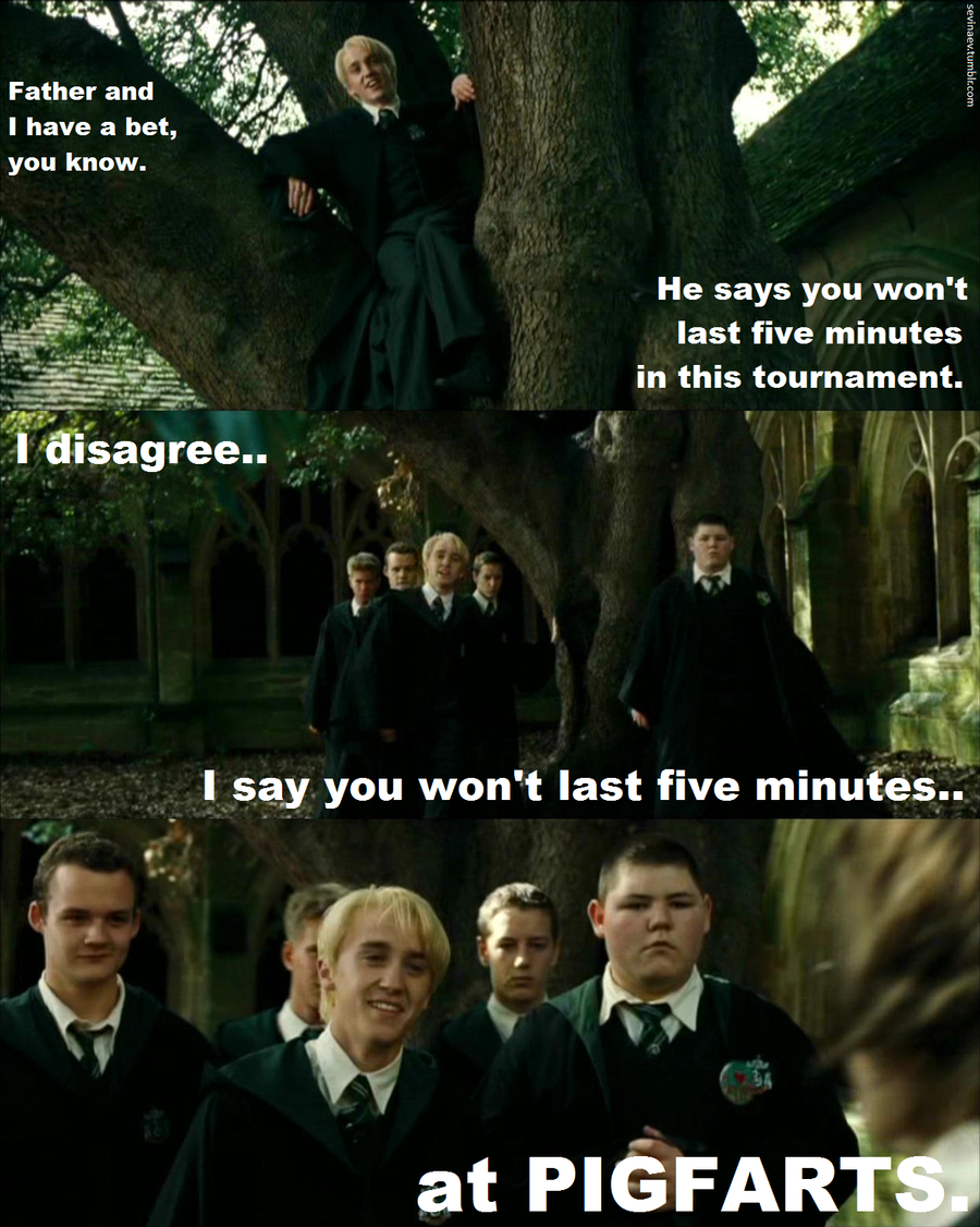 Funny Picture Of Harry Potter Vs Twilight