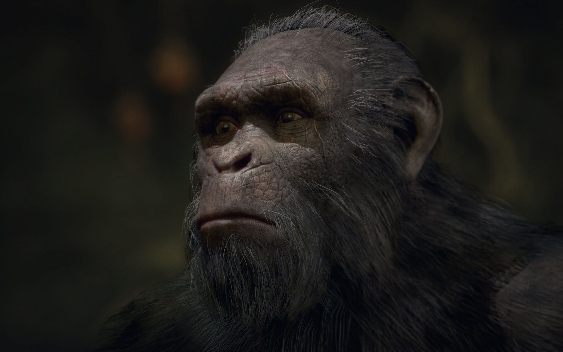 Planet Of The Apes Heroes And Villains Wallpapers - Wallpaper Cave