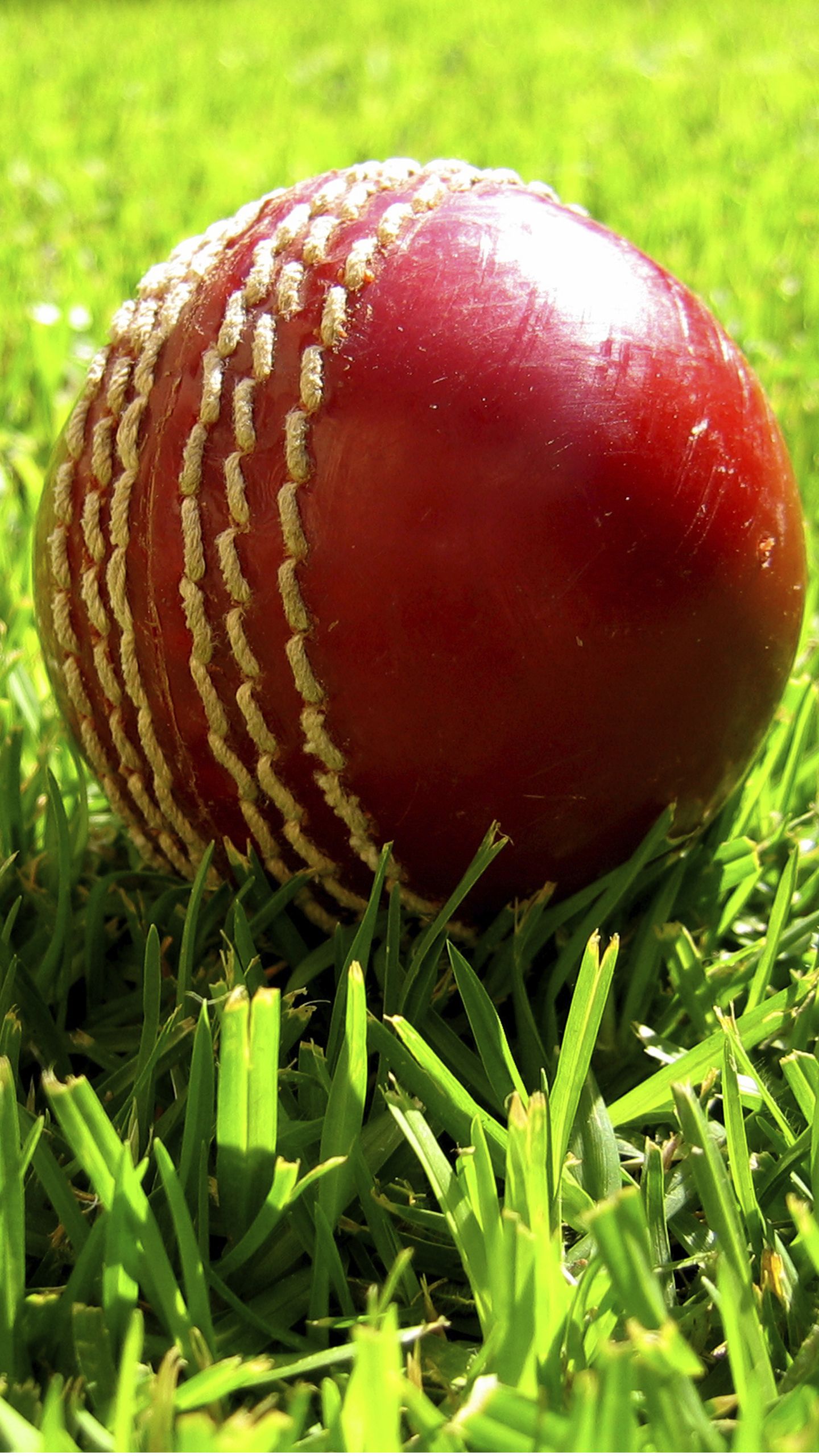 Cricket Bat Wallpaper