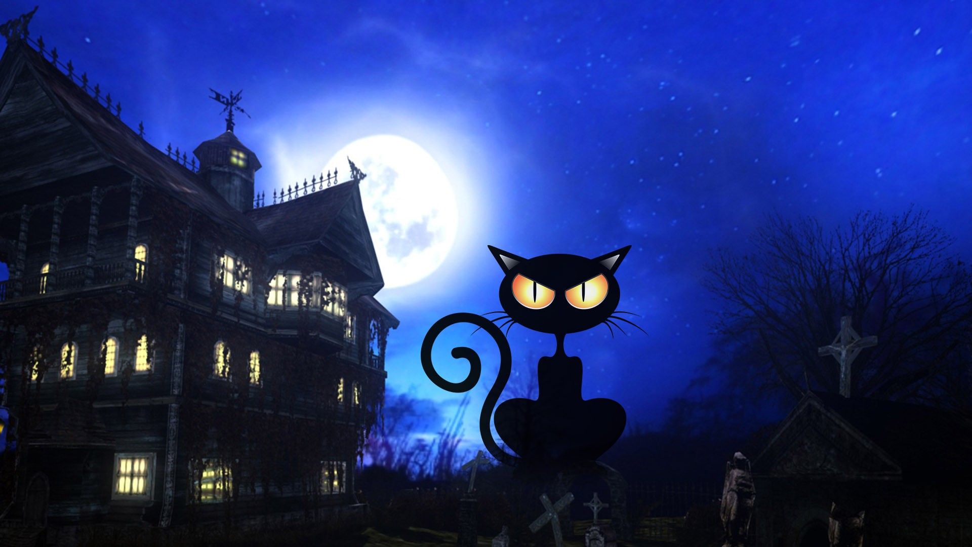 Halloween Black Cat Wallpaper 34681