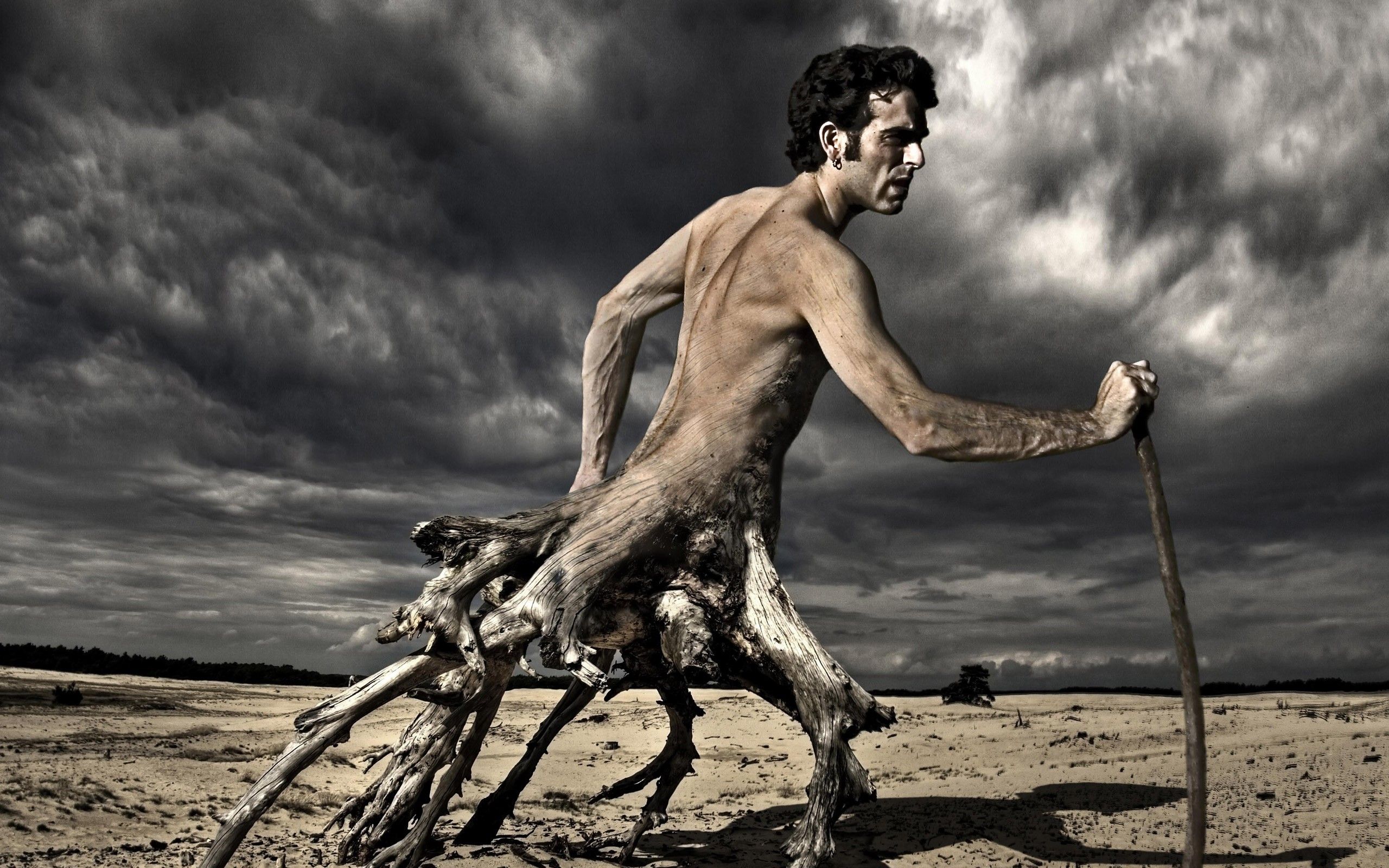 Breaking the roots wallpaper. Breaking the roots