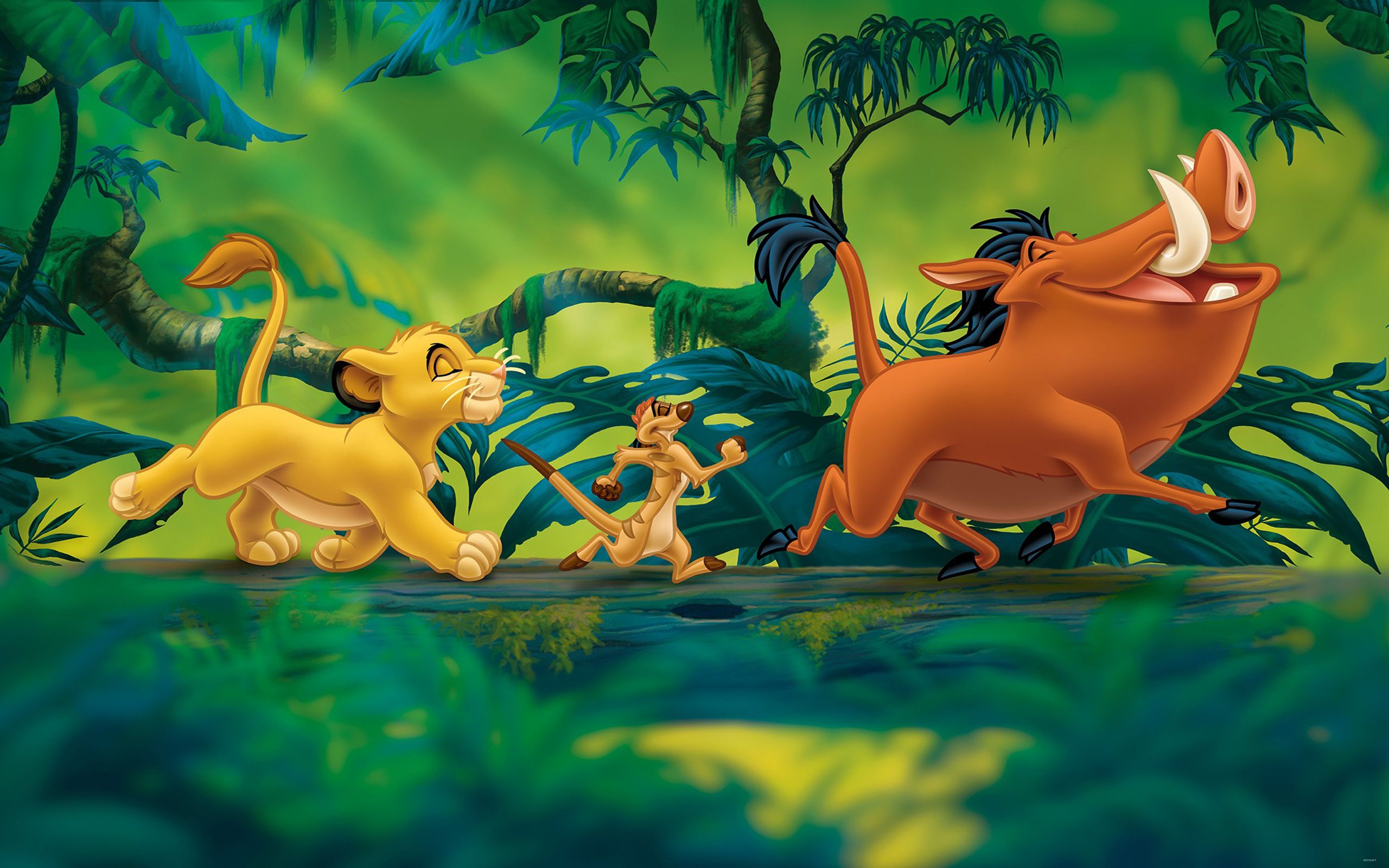The Lion King Simba Timon And Pumbaa Cartoons Disney Desktop Wallpaper HD 2560x1600, Wallpaper13.com