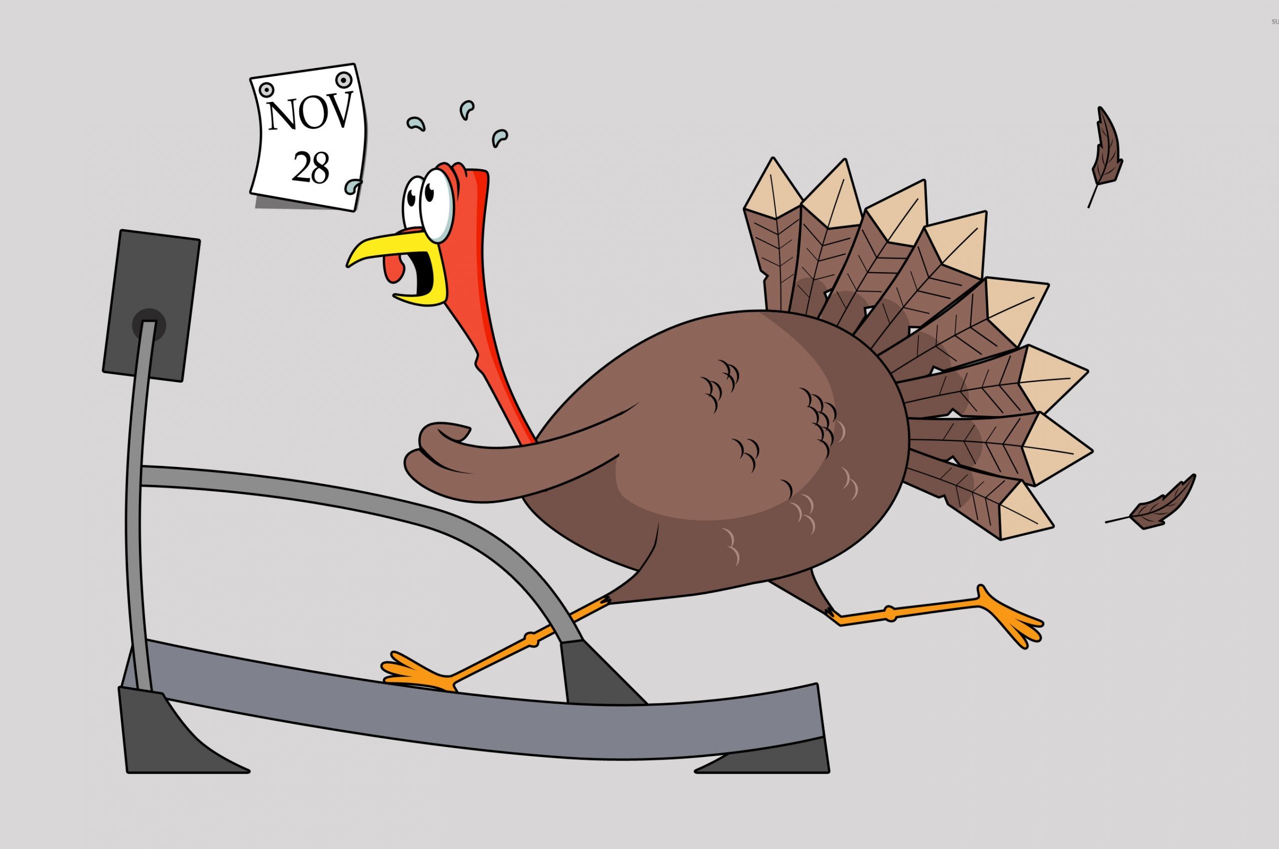 Free download Thanksgiving turkey on a treadmill wallpaper Funny wallpaper [2880x1800] for your Desktop, Mobile & Tablet. Explore Funny Thanksgiving Wallpaper. Free Animated Thanksgiving Desktop Wallpaper, Free Thanksgiving Themed