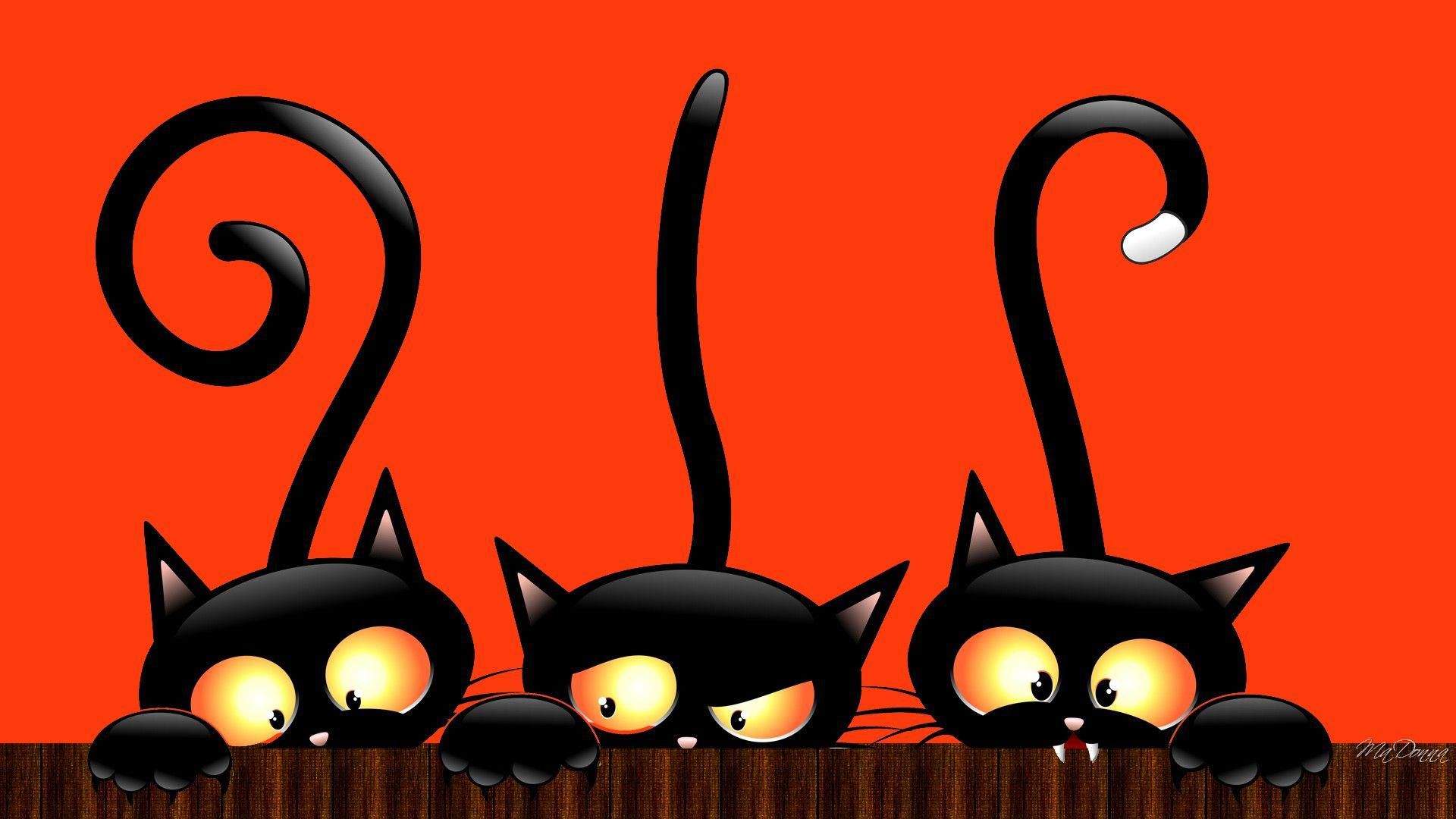 Halloween Black Cat Cats Animals Background Wallpaper