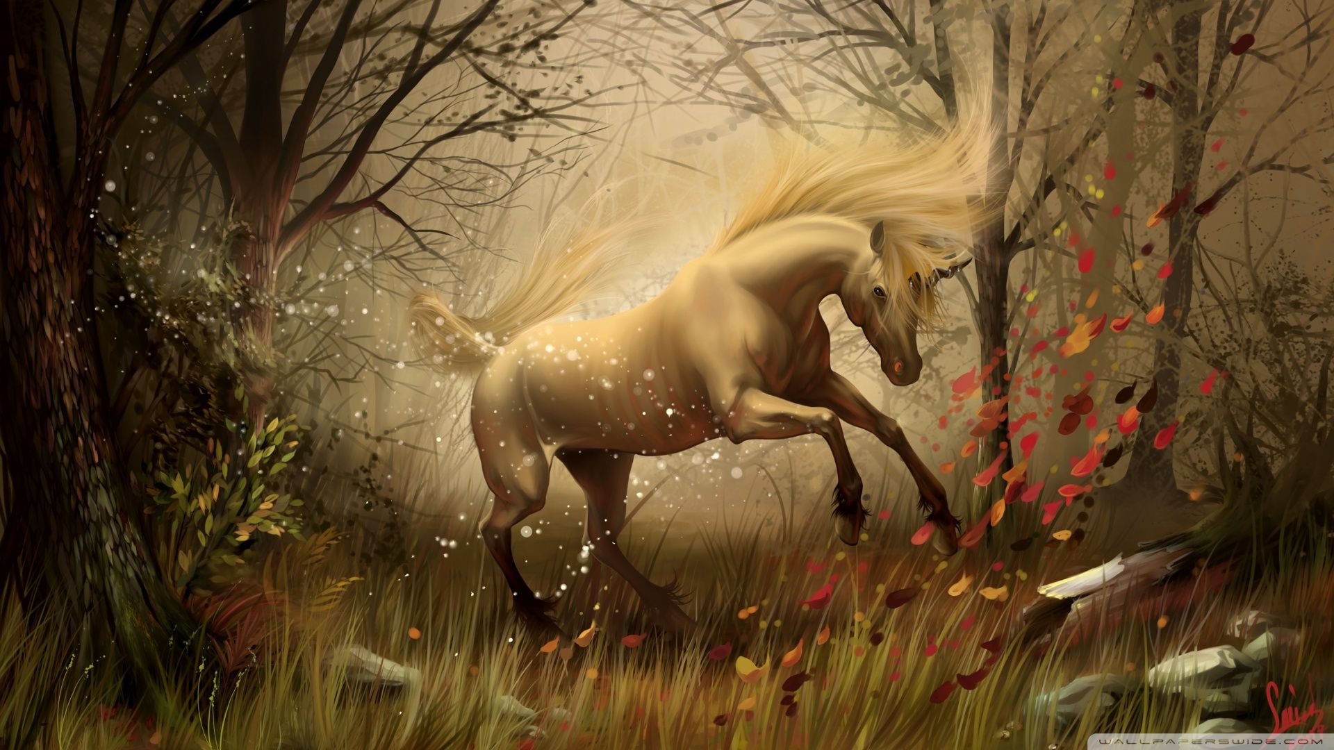 Unicorn Ultra HD Desktop Background Wallpaper for 4K UHD TV, Tablet