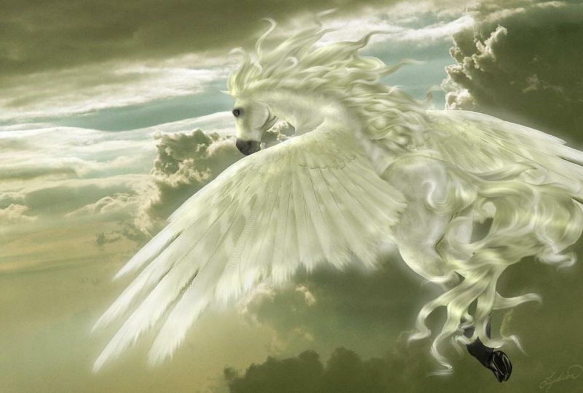White Winged Pegasus