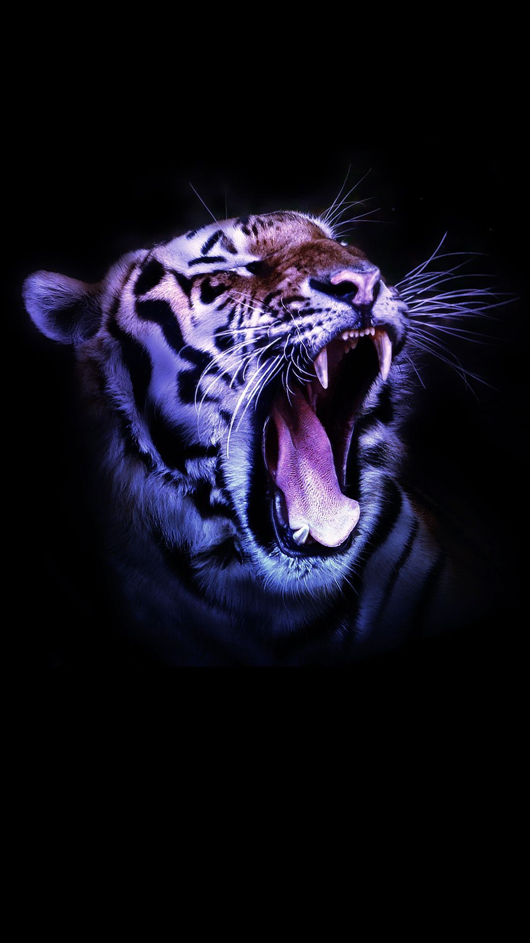 12++ Phone Wallpaper HD Tiger Wallpaper. Tiger wallpaper, iPhone background, Cubs wallpaper