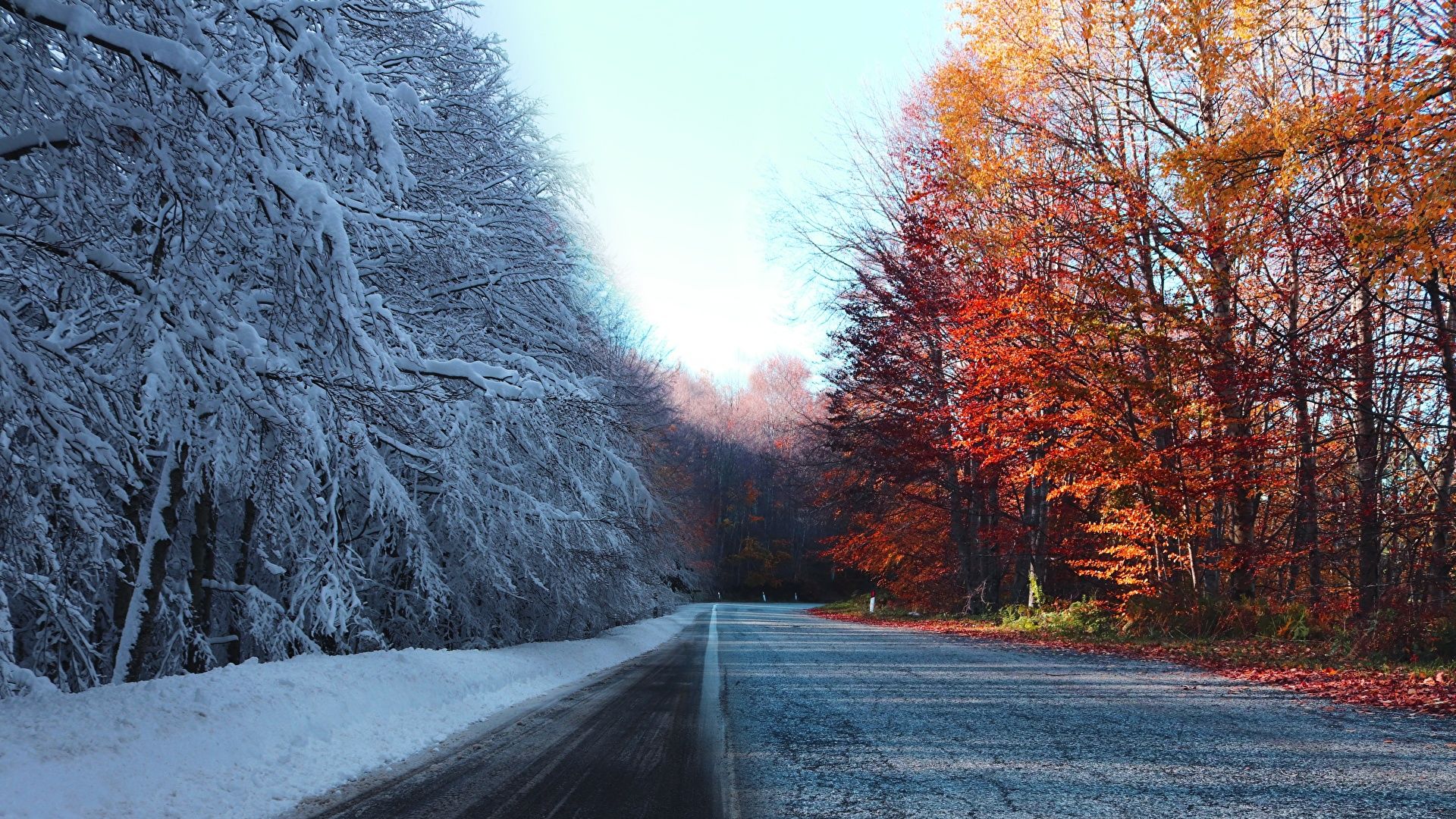Desktop Wallpaper Autumn Winter Nature Snow Roads Trees 1920x1080