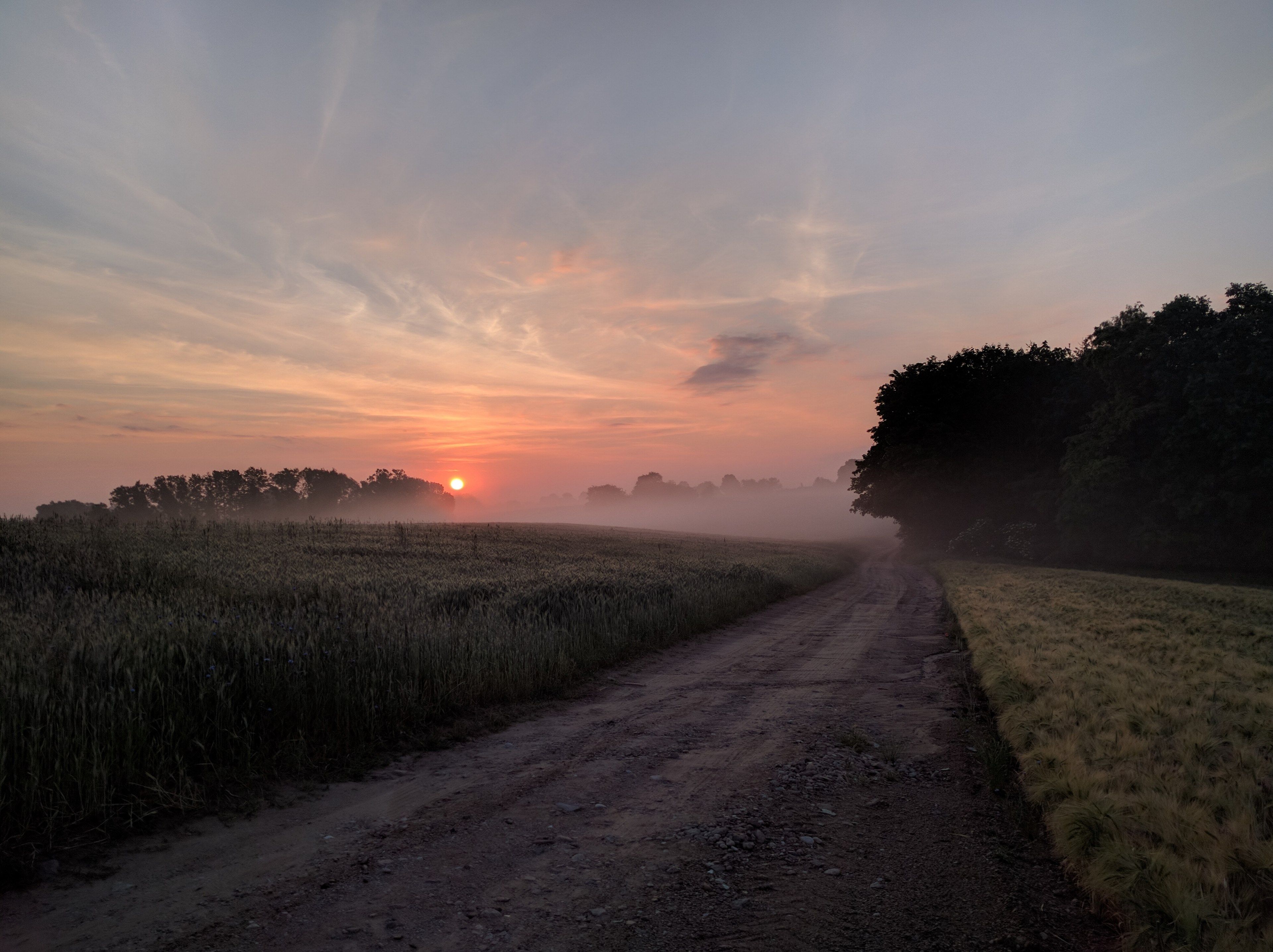 Wallpaper / country road in poland on a foggy peaceful morning, sunrises in the country 4k wallpaper