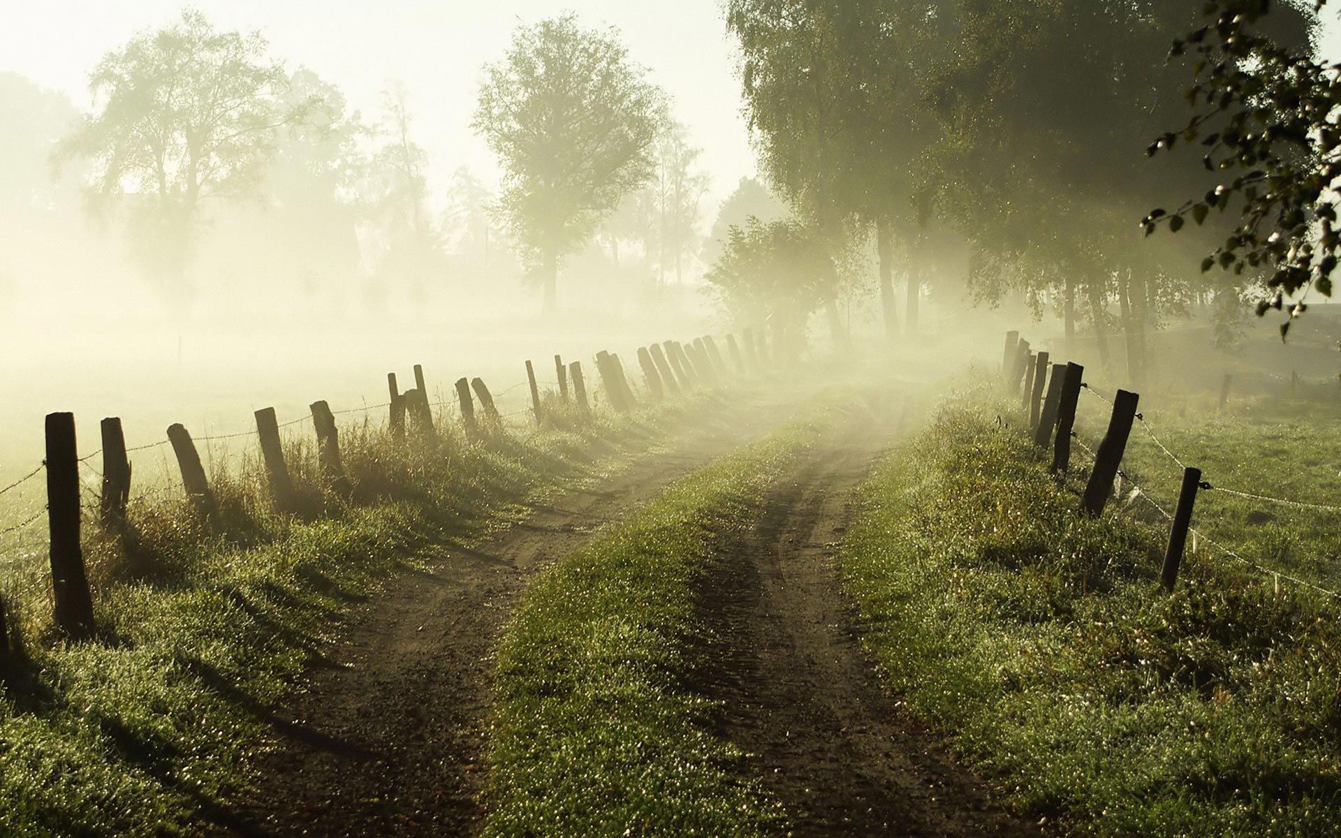 Foggy #morning, beautiful #nature shot, #road to somewhere you can't see. #morning #photography #fog. Landscape, Nature, Country roads take me home