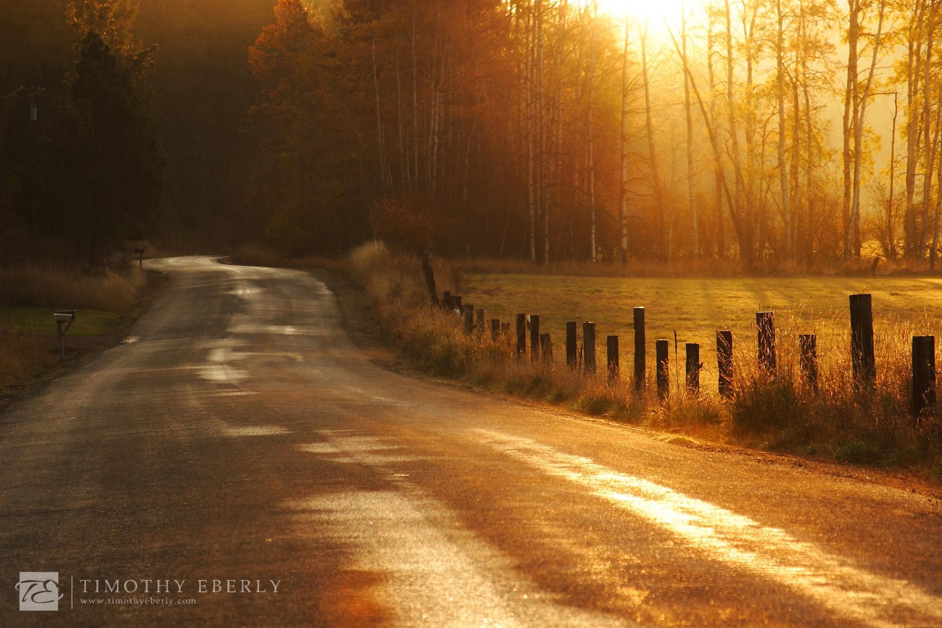 A country road and early morning sunrise. Peaceful. Country roads, Photo, Road picture
