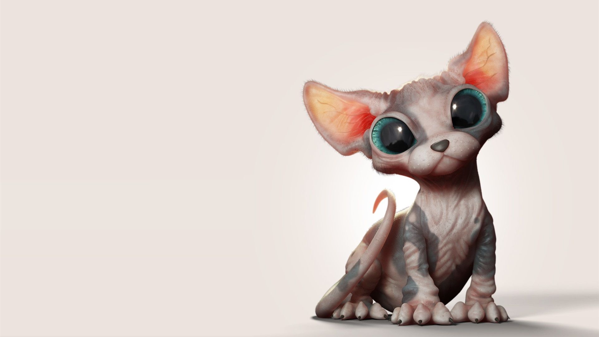 Wallpaper Sphynx cat, art picture 1920x1200 HD Picture, Image