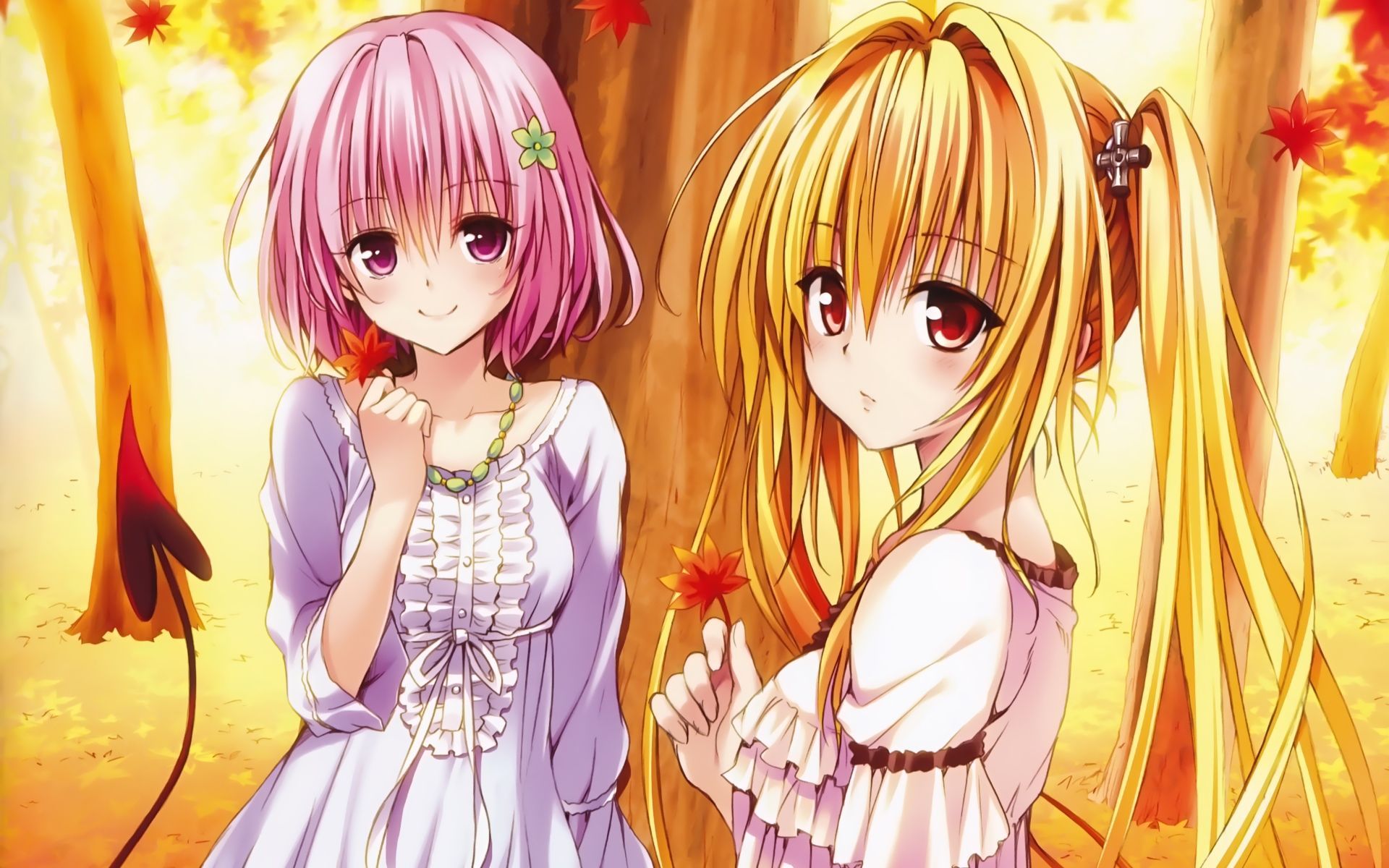 Anime To Love Ru: Darkness To Love Ru Anime Golden Darkness Momo Velia Deviluke Wallpaper. かわいいアニメガール, イラスト, かわいいイラスト