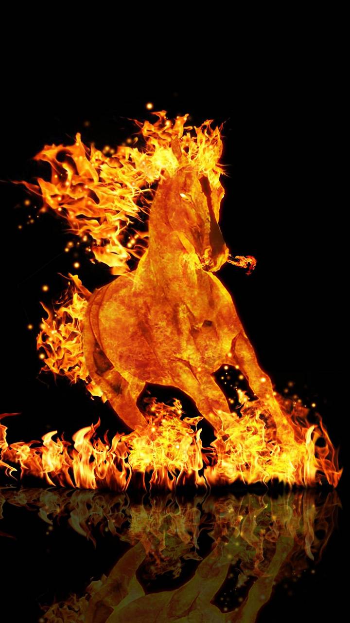 fire horse wallpaper