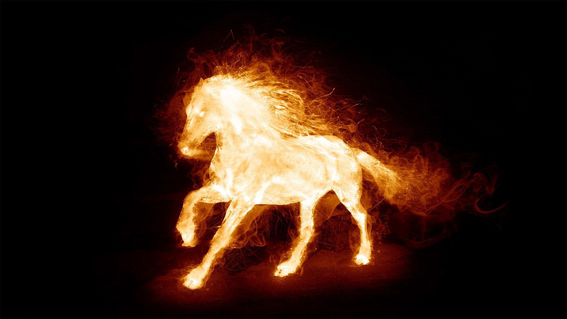 Animated Fire Horse Gif Wallpaper & Background Download