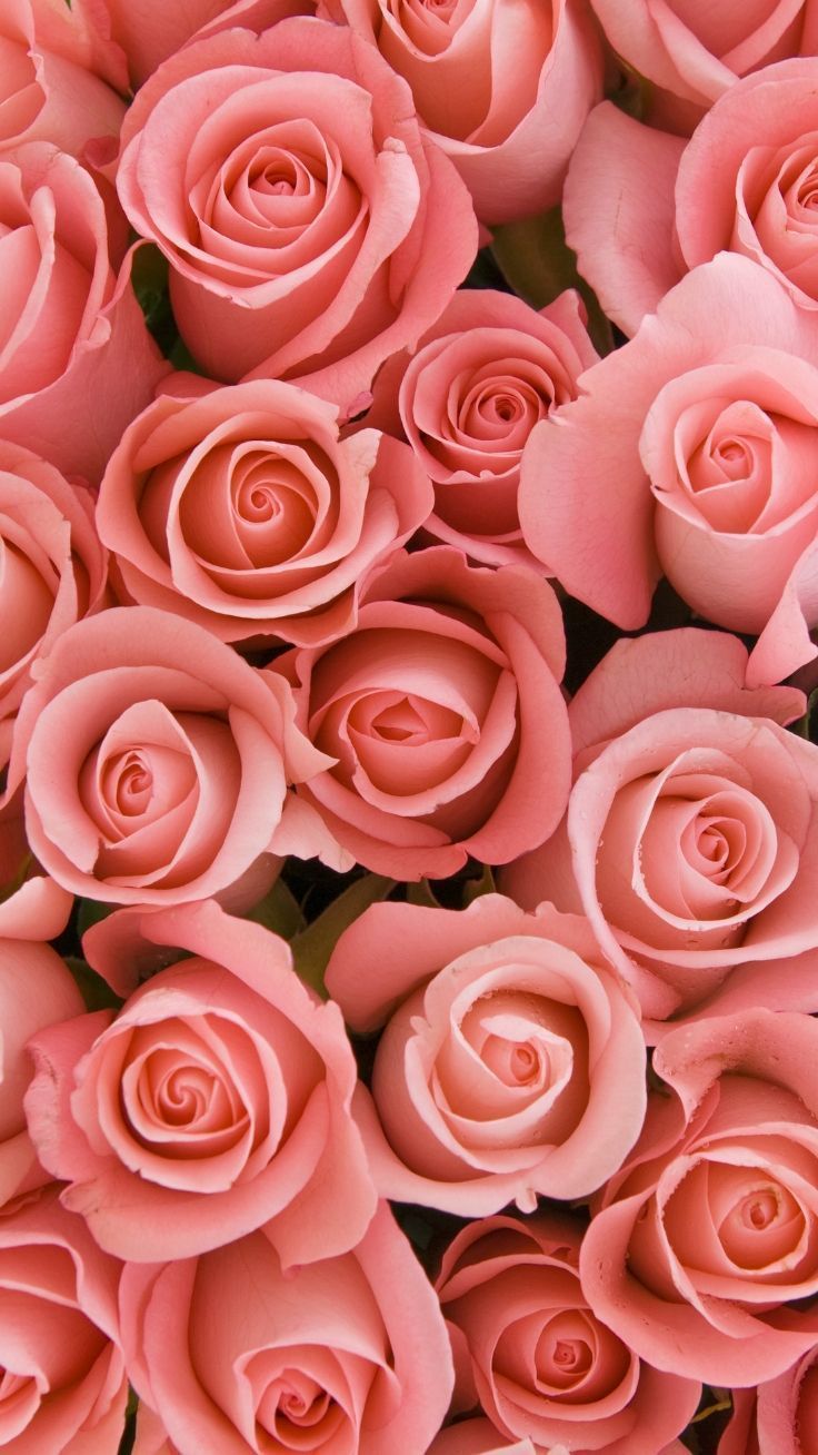 Splendida floreale iPhone Xs Sfondi. Beautiful wallpaper background, Rose wallpaper, Floral wallpaper iphone