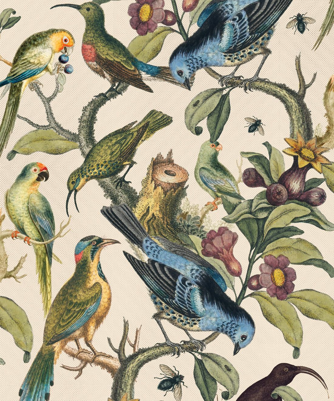 Vintage Bird Wallpaper • Classic Charm & Character UK