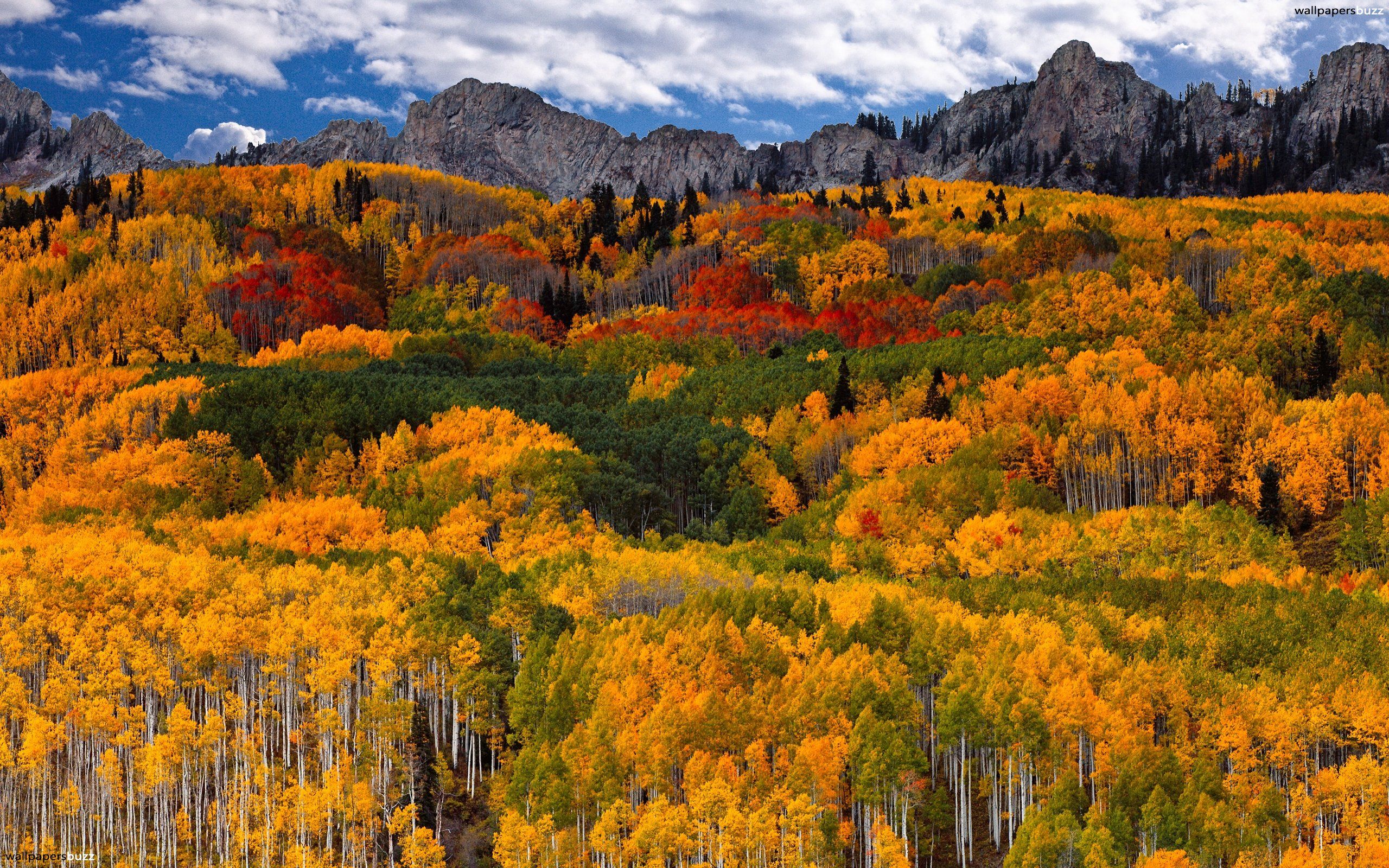 Fall mountains wallpapers.