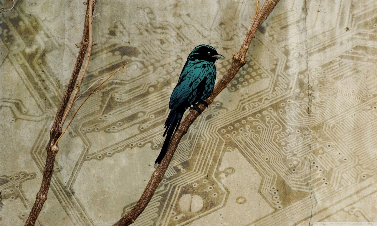 Cute Vintage Bird Wallpaper