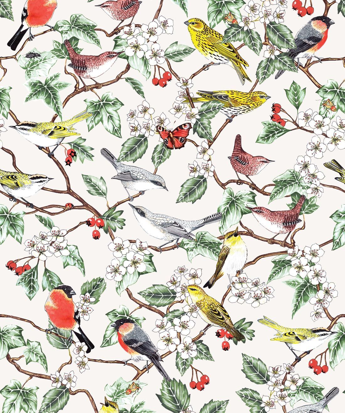 Exclusive Designer Wallpaper. Bird wallpaper, Wallpaper, Boutique wallpaper