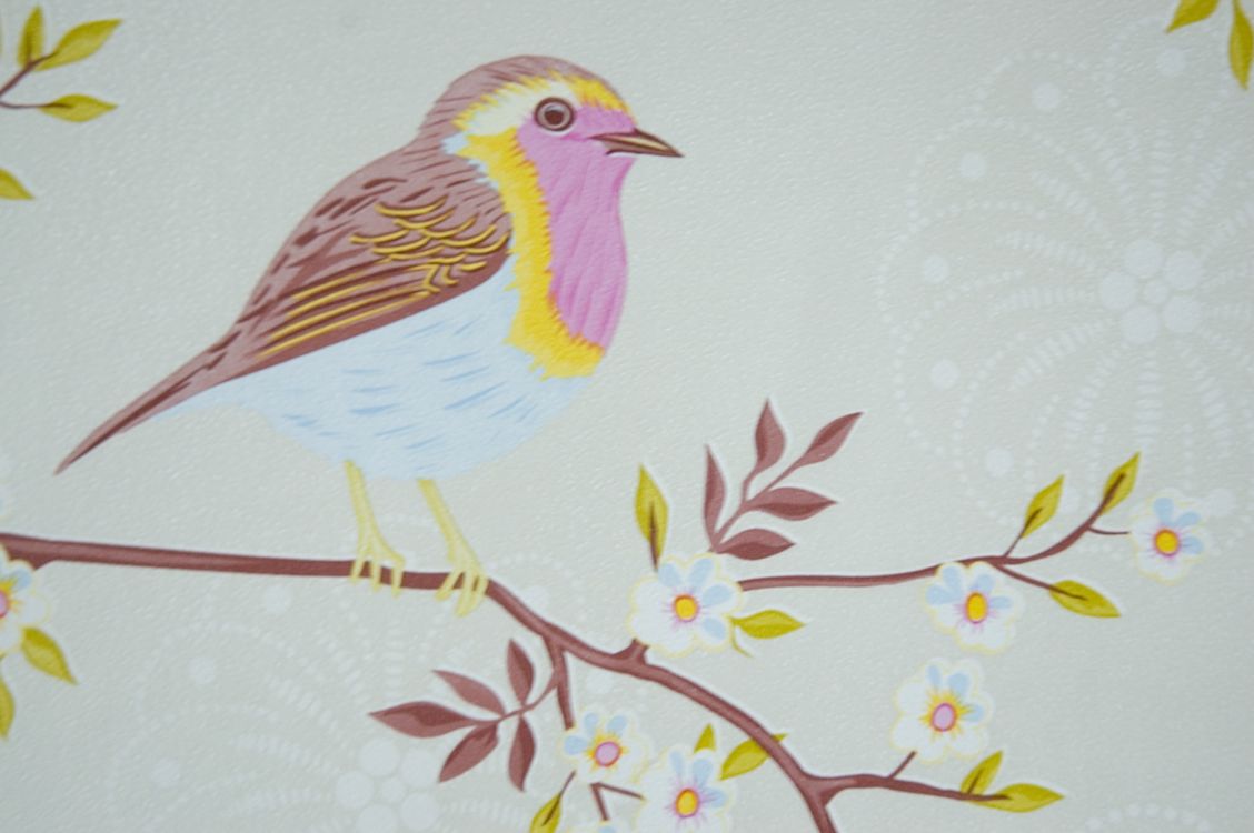 Bird Wallpaper for Walls Vintage