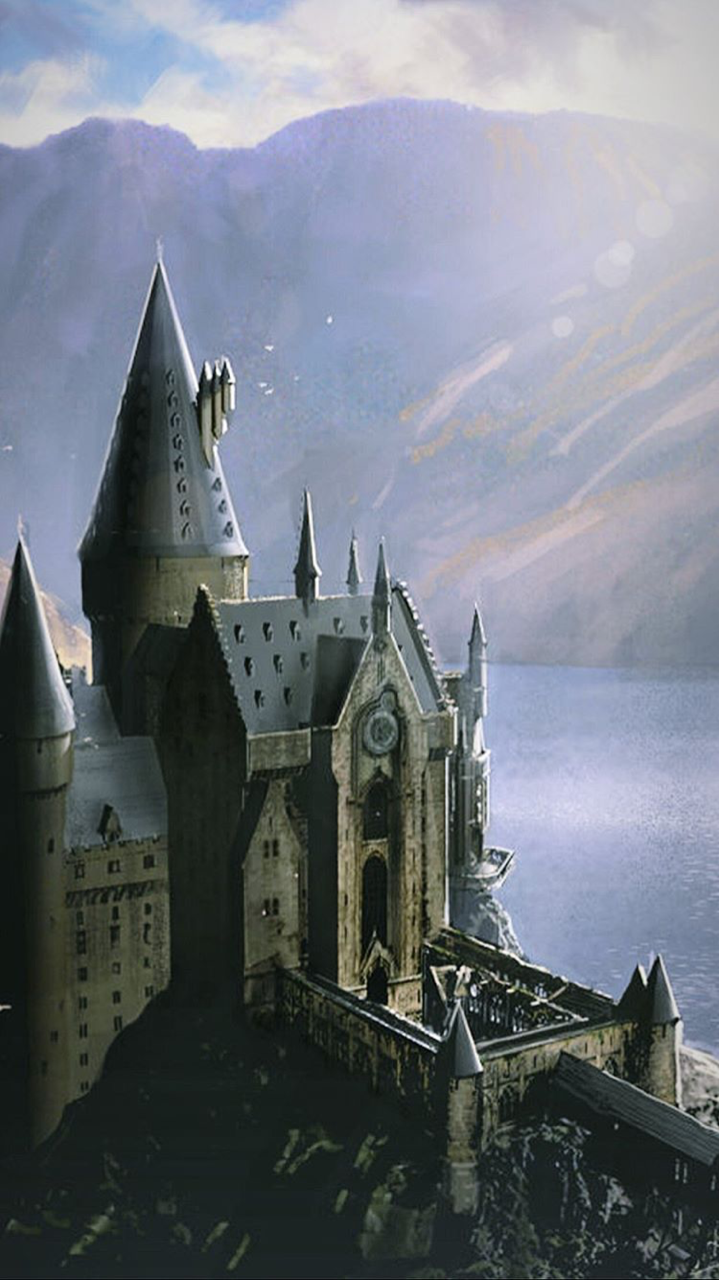 Hogwarts Castle Harry Potter Paint By Numbers - Paint By Numbers