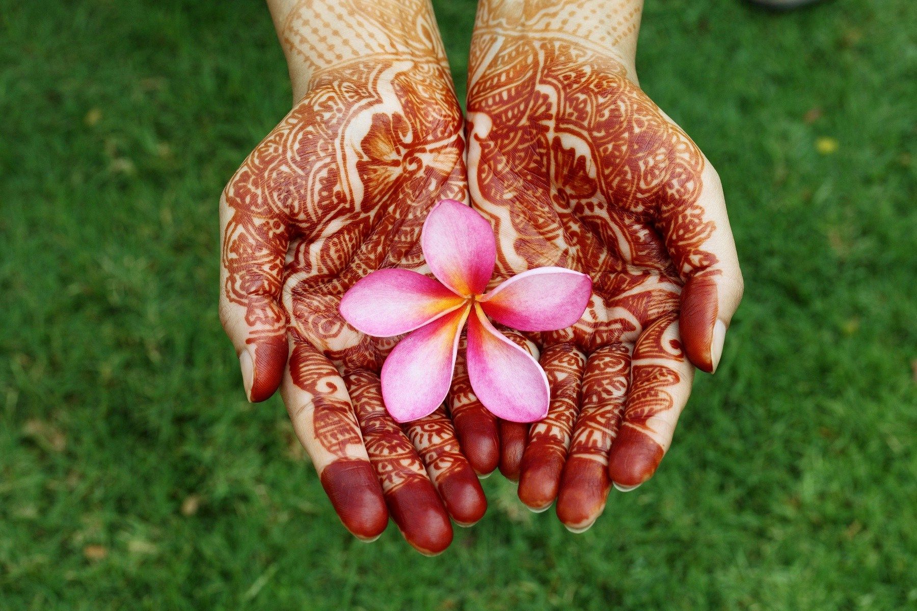 Girl Mahendi Hands On Flower Wallpaper HD Wallpaper Hand With Flowers Wallpaper & Background Download