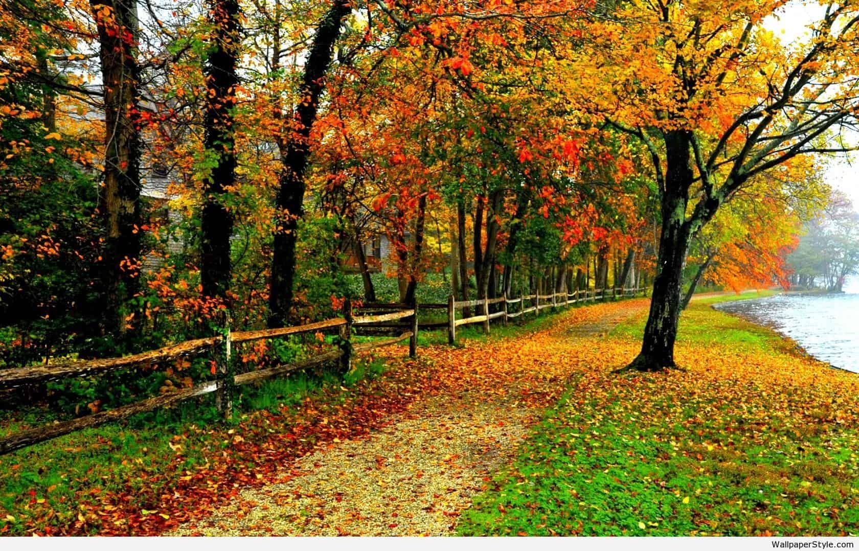 Fall Colors Wallpaper /fall Colors Wallpaper 1050/ #Colors, #Wallpaper Colors, Wallp. Autumn Landscape, Landscape Background, Landscape
