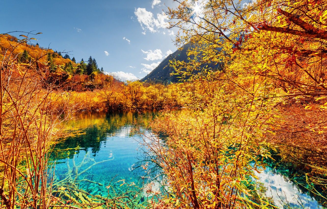 Wallpaper autumn, forest, trees, mountains, lake, yellow, China, Sunny, Jiuzhai Valley National Park image for desktop, section природа