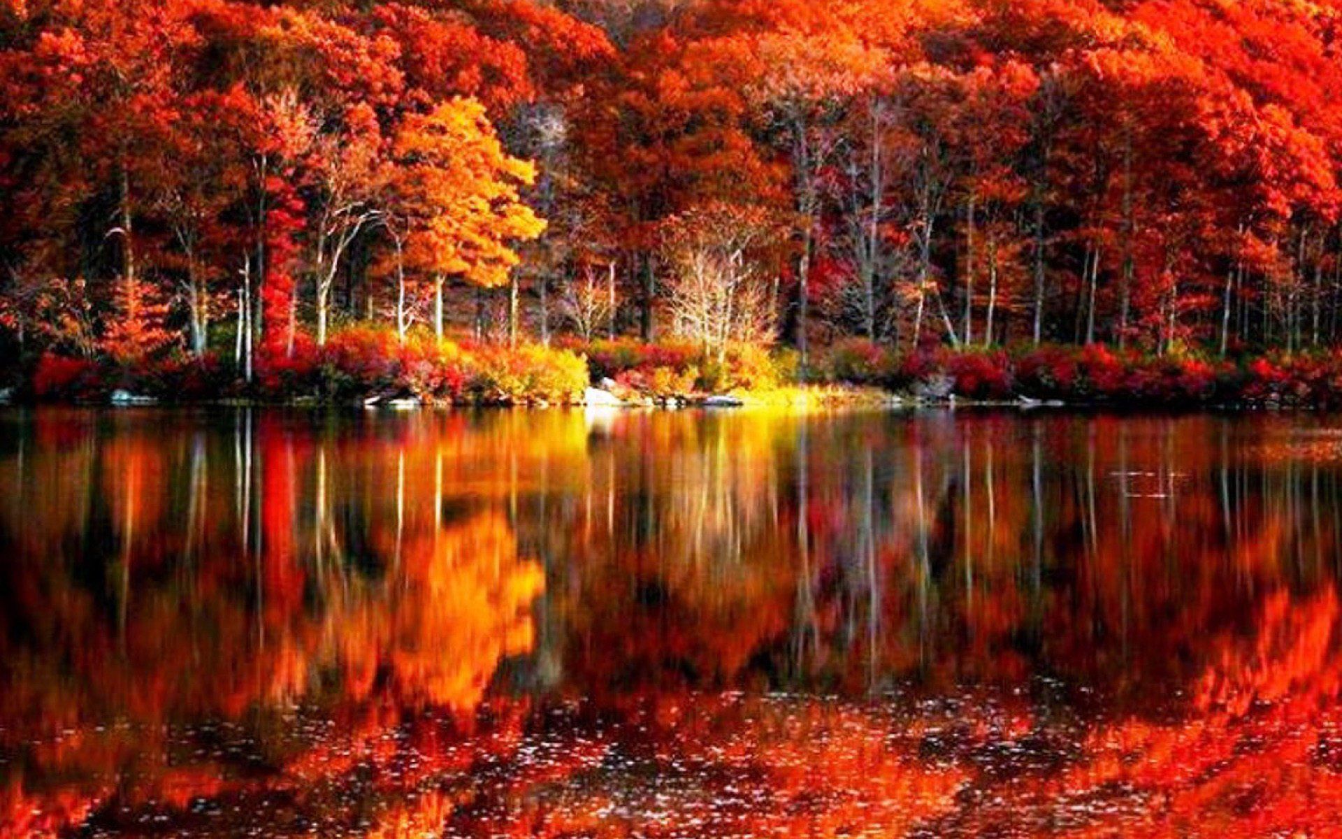 Fall Colors Reflection Wallpaper FREE Picture