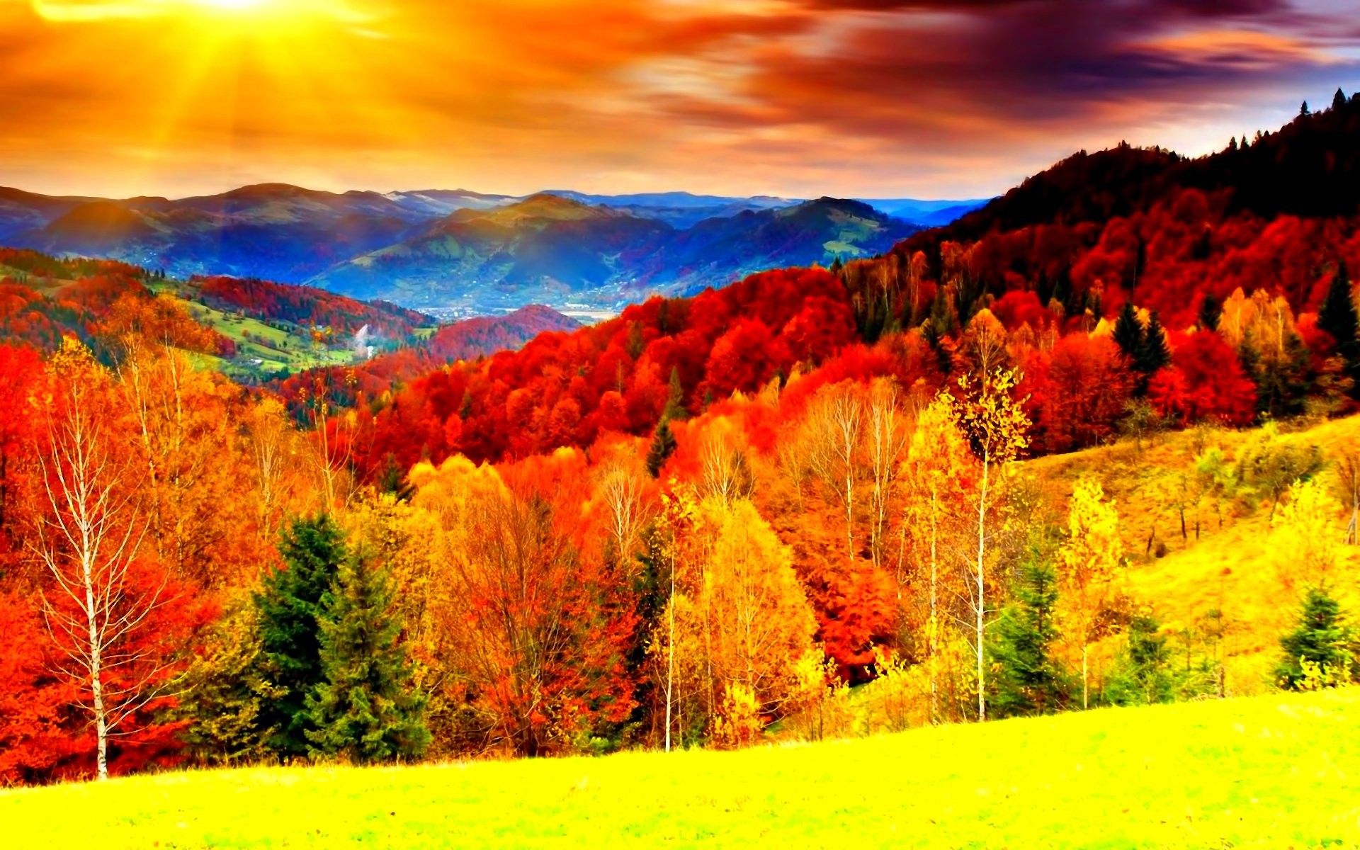 Full HD, Cool Image, Landscape, Nature, Color, autumn, Seasons, Forest, Leaves, Season, Leaf, Fall, Tree, Background