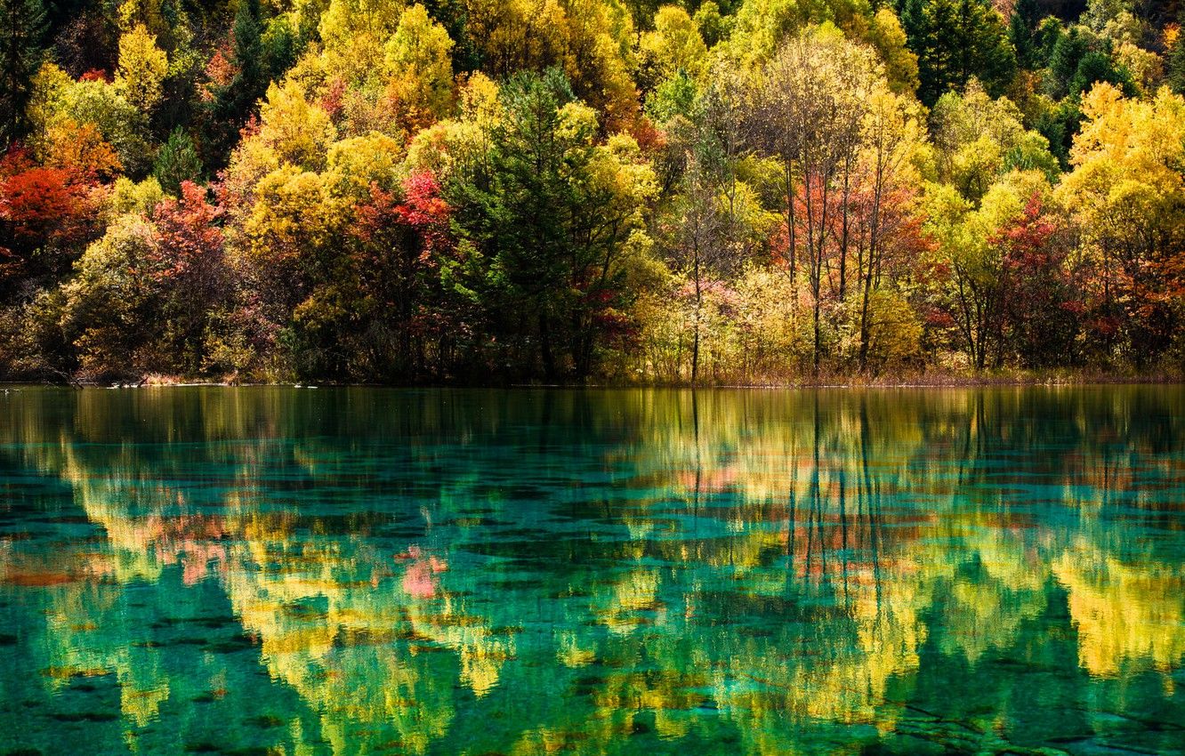 Wallpaper autumn, forest, landscape, nature, lake, China, reserve, Jiuzhaigou, Jiuzaigou valley, Jiuzhaigou Valley image for desktop, section пейзажи